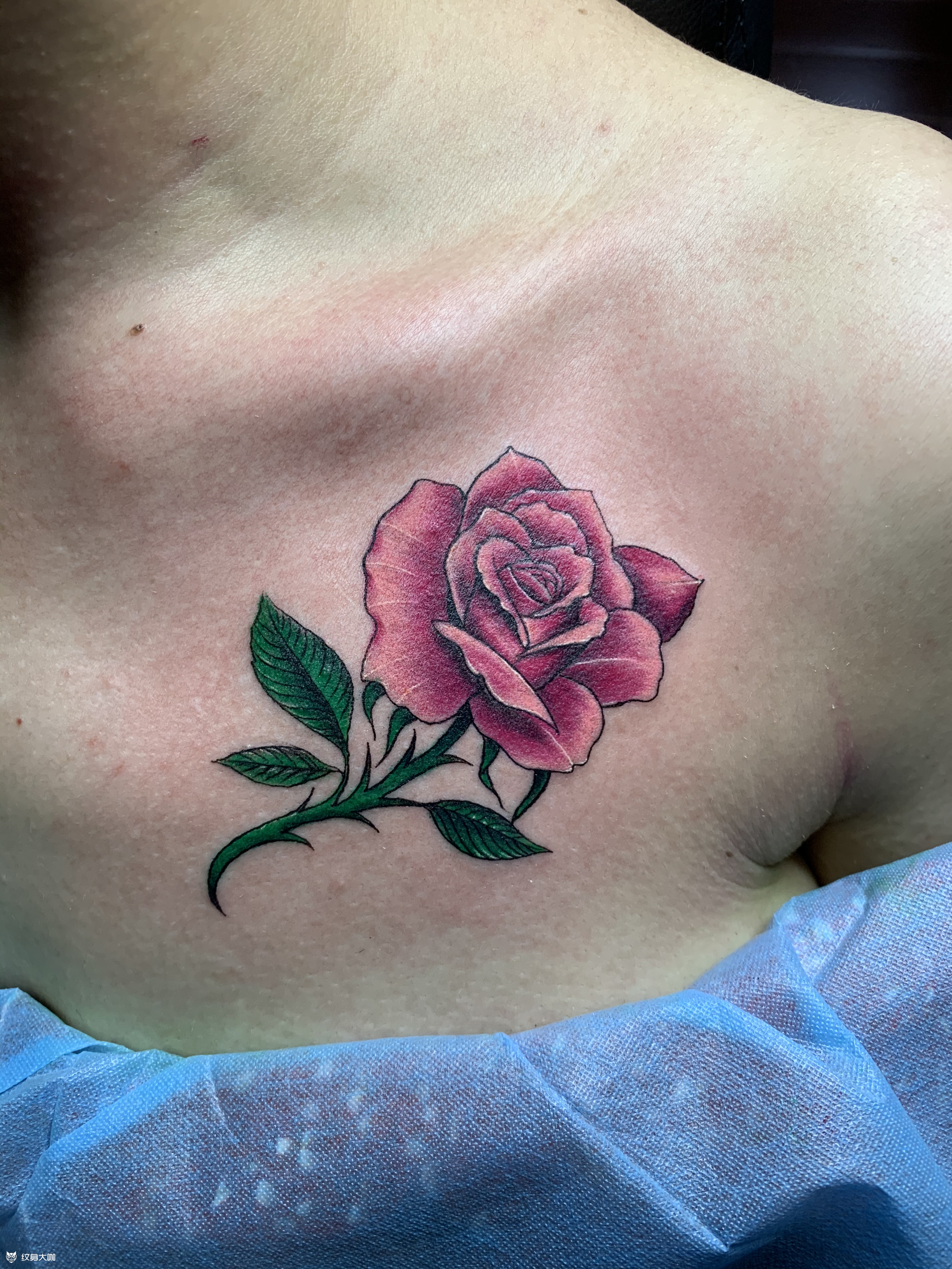 女性胸前纹身玫瑰花图片