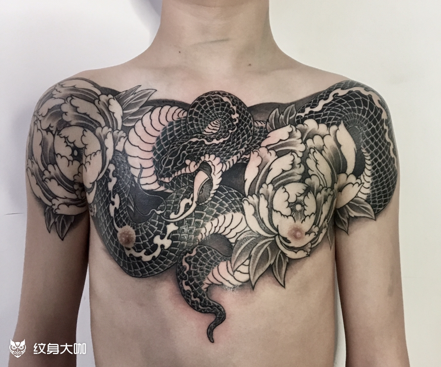 蛇 牡丹_纹身图案手稿图片_洪伟的纹身作品集