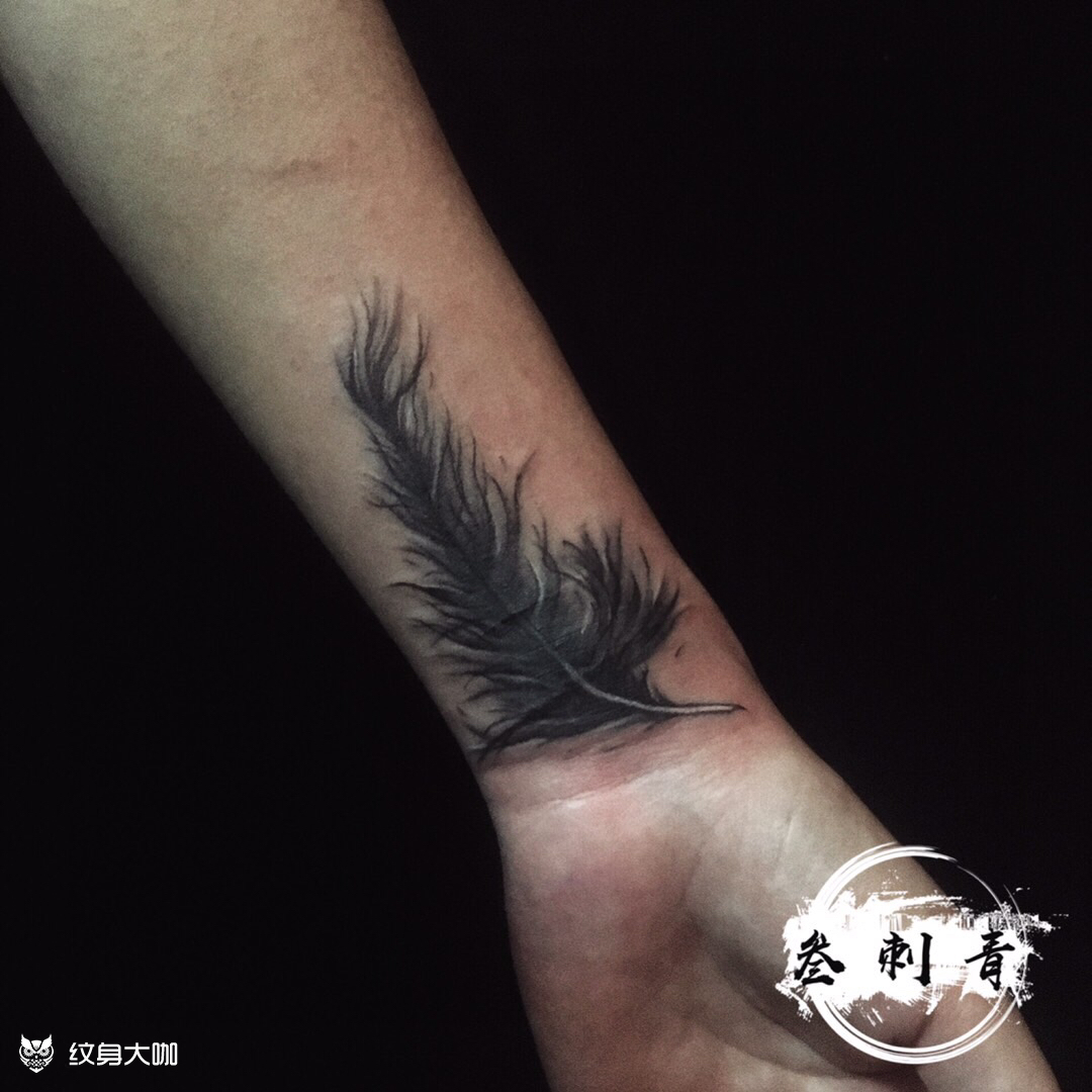 羽毛盖疤_纹身图案手稿图片_陈伟霆 @的纹身作品集