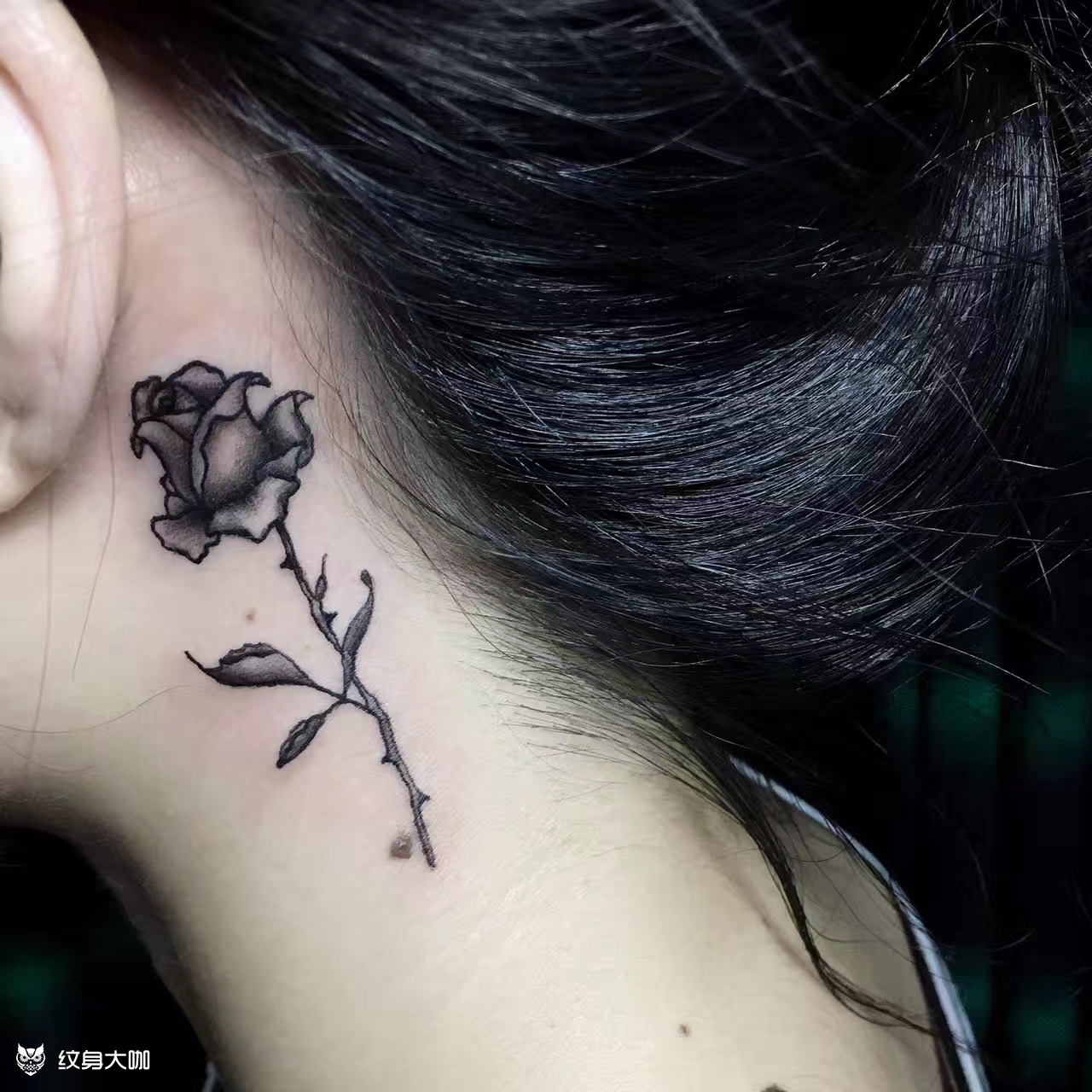 耳后玫瑰花_纹身吧社区 - 纹身大咖
