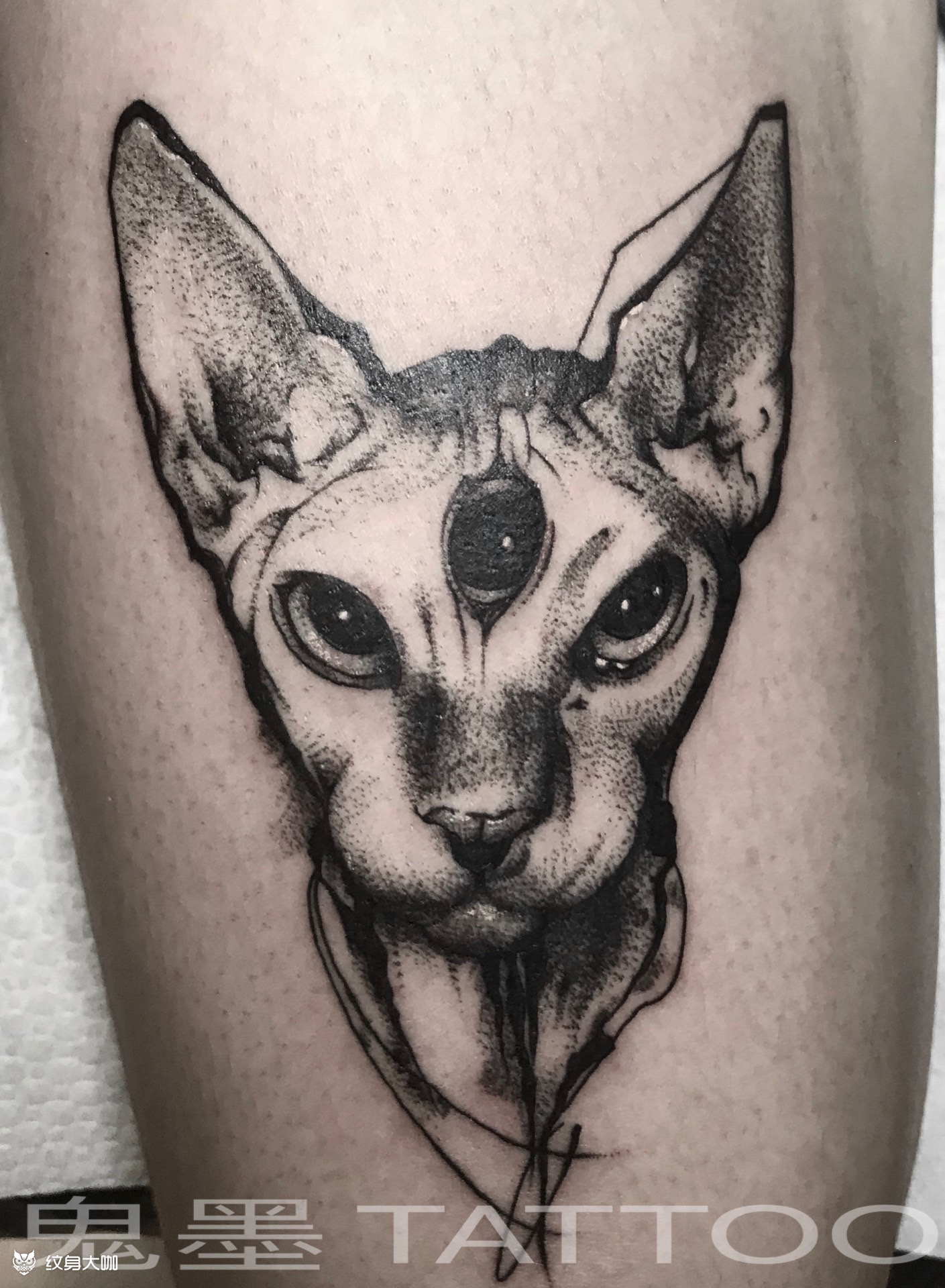 点刺比鲁斯_纹身图案手稿图片_black-hs的纹身作品集