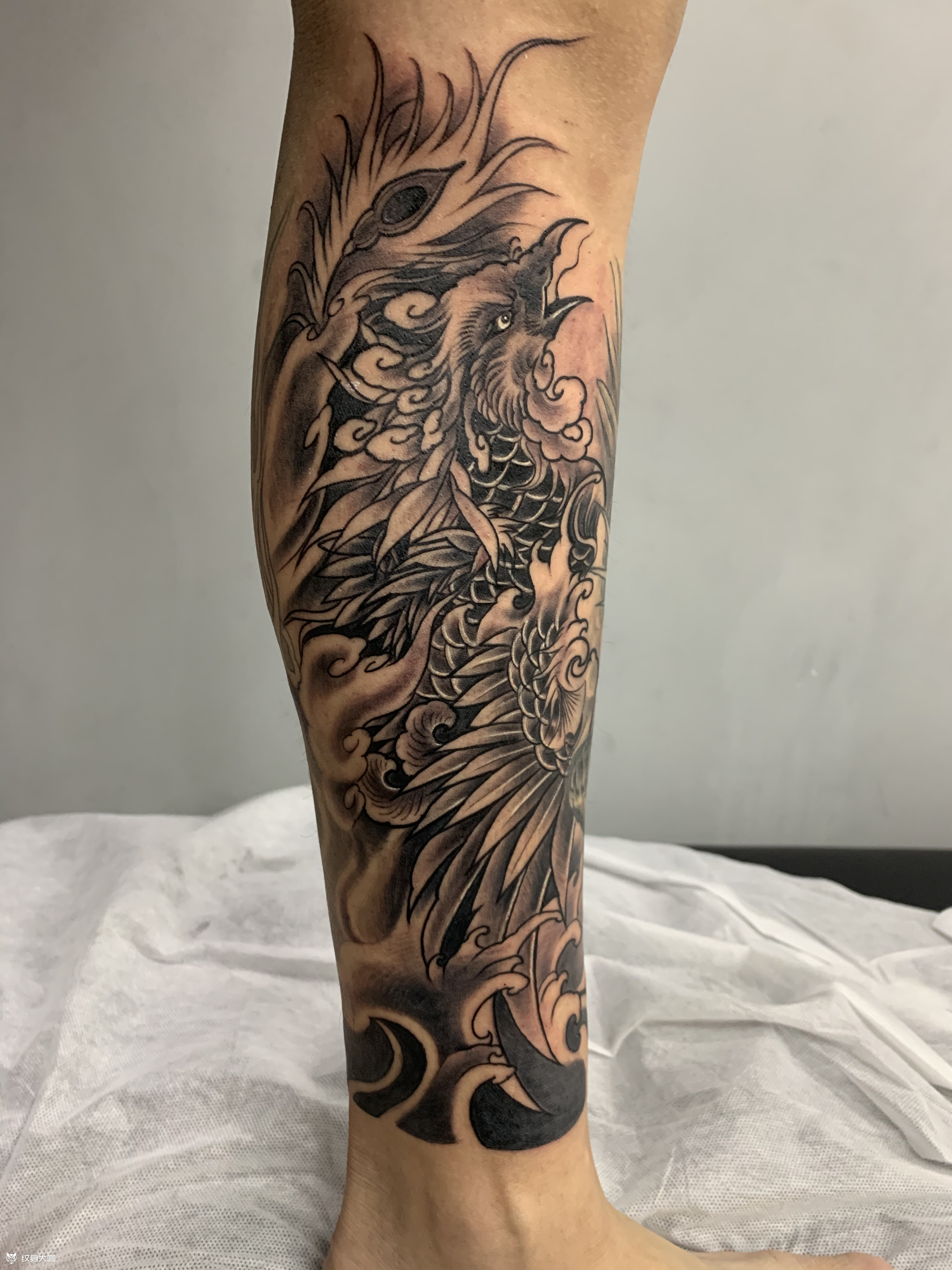 小腿凤凰_纹身图案手稿图片_李军的纹身作品集