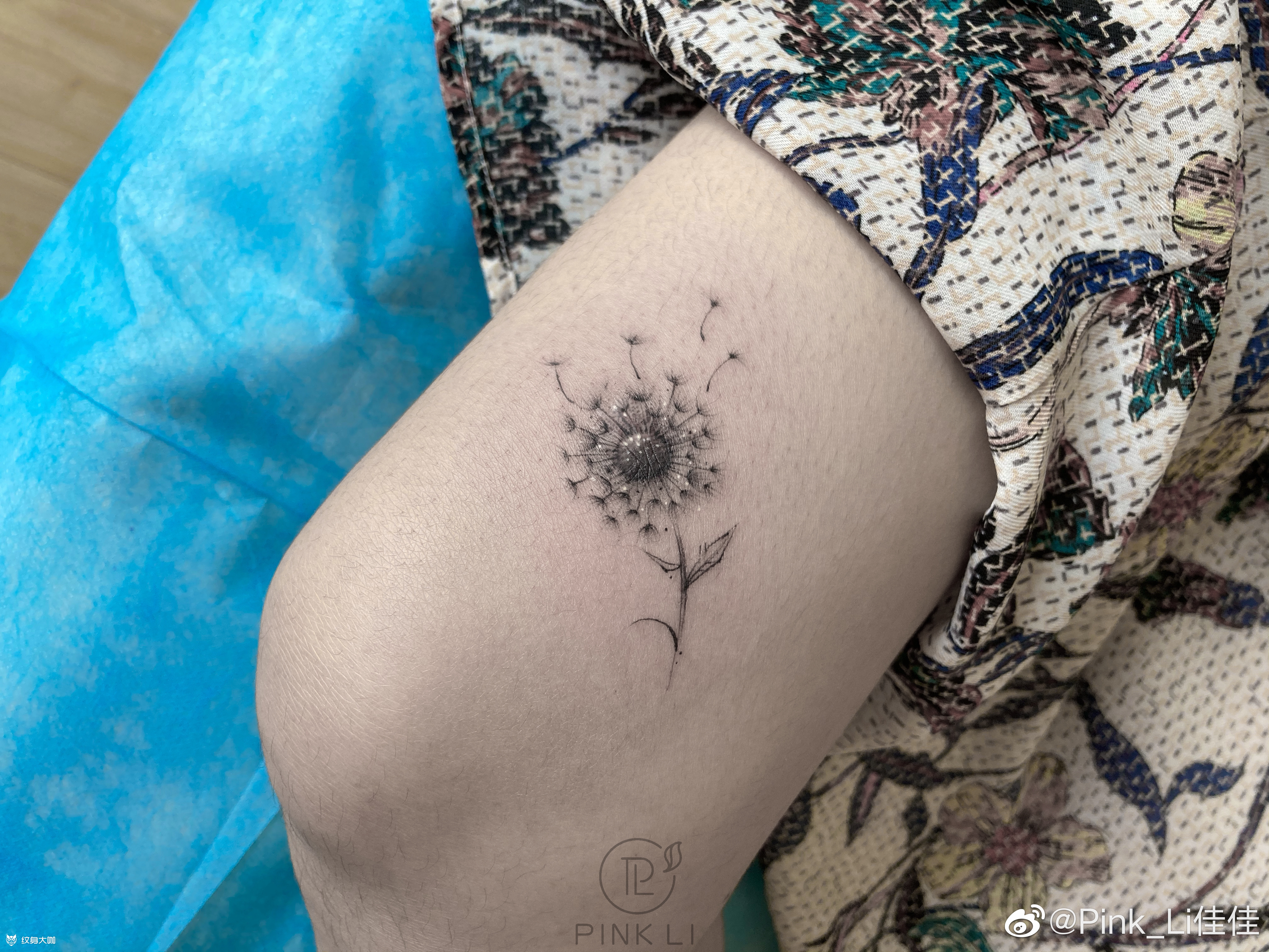 蒲公英遮盖_纹身图案手稿图片_pink_li的纹身作品集