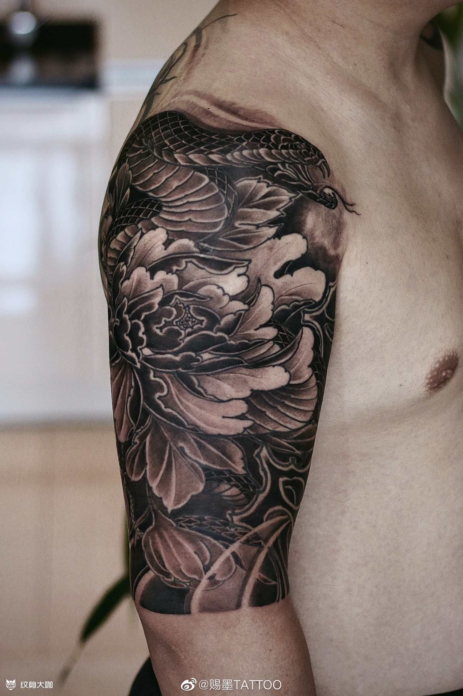 蛇盘牡丹_纹身图案手稿图片_赐墨的纹身作品集