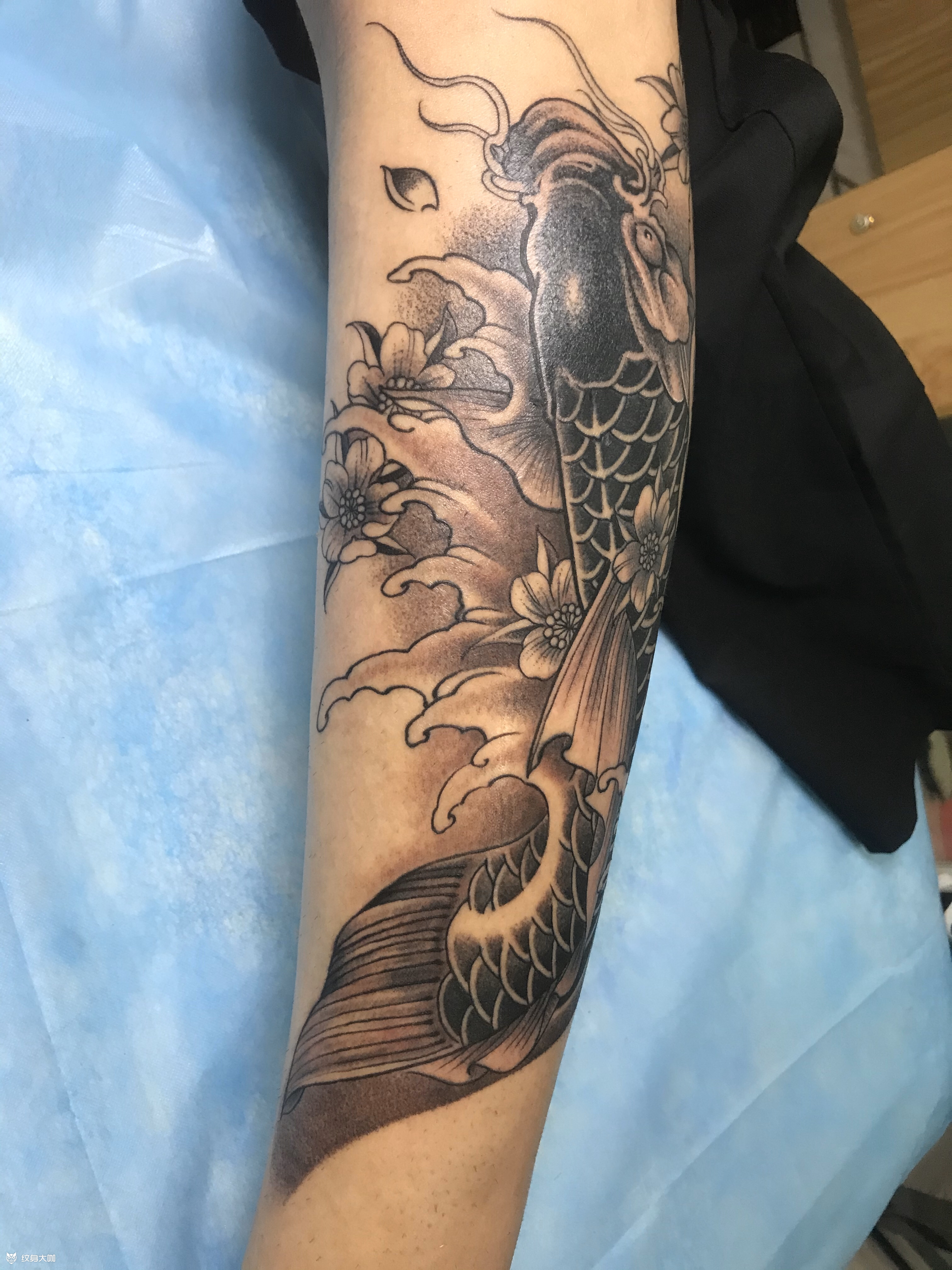 鲤鱼_纹身图案手稿图片_tbamyong的纹身作品集