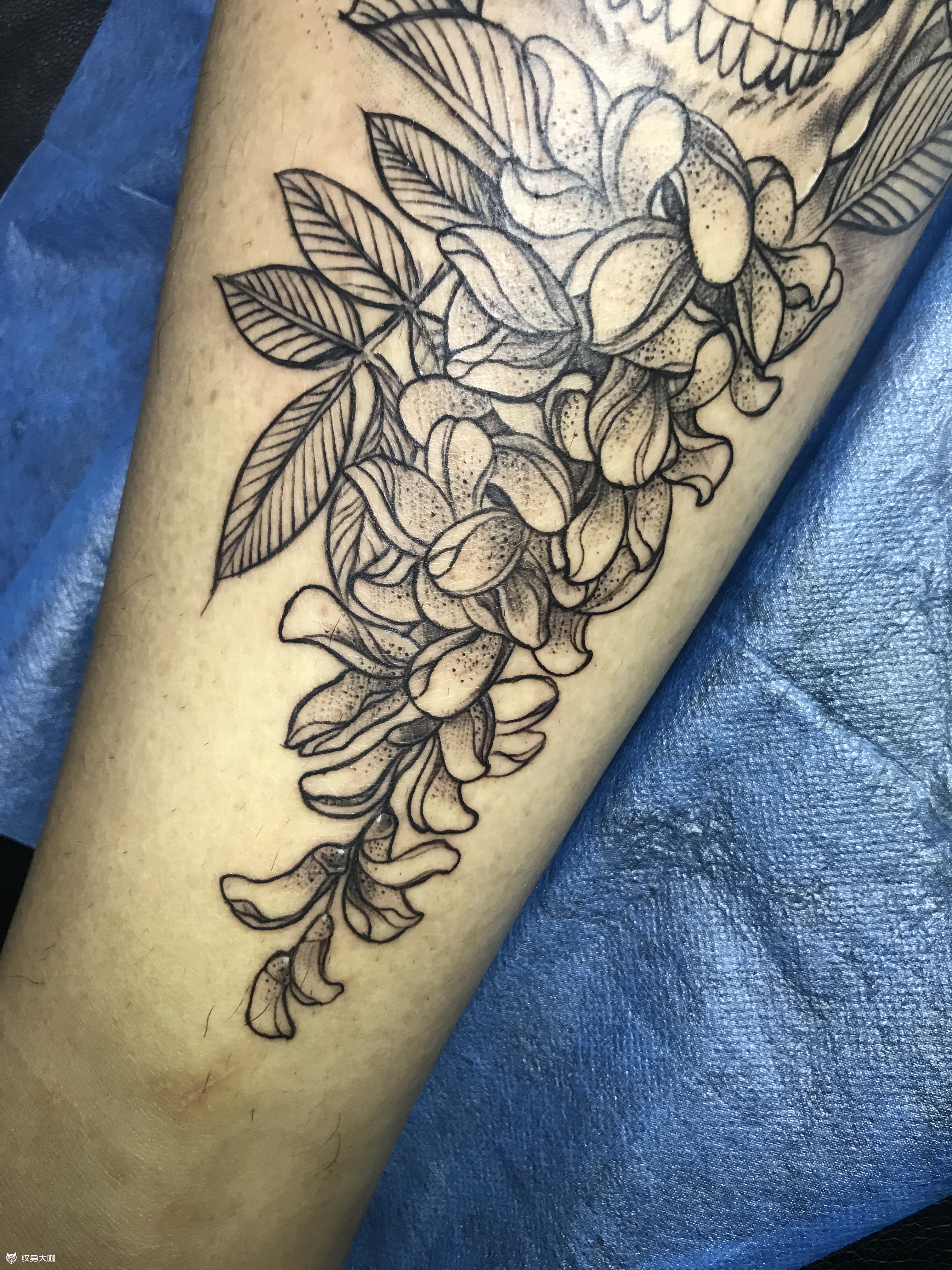骷髅槐花_纹身图案手稿图片_小杰是个文身师的纹身作品集