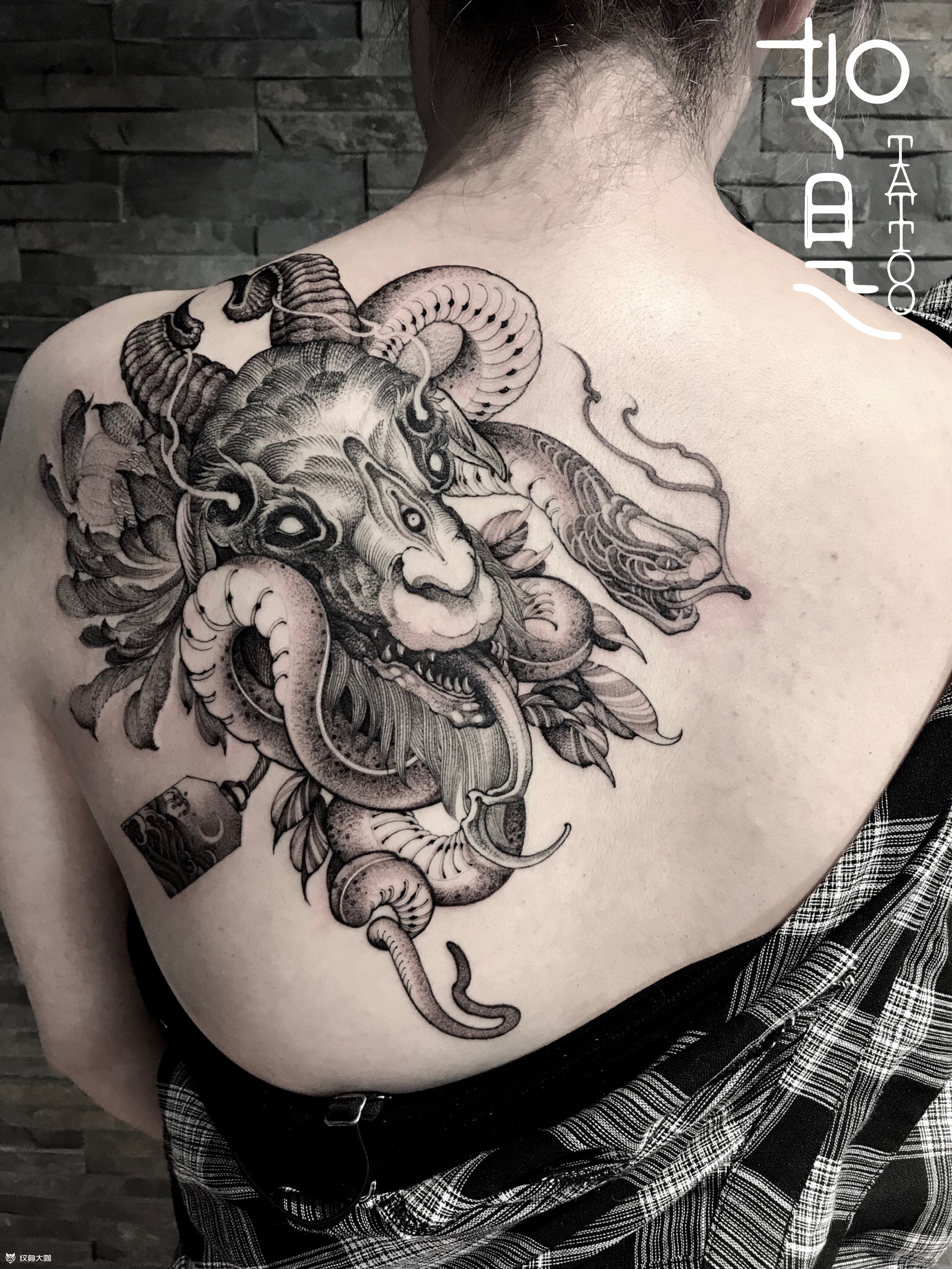 欧美黑灰羊_纹身图案手稿图片_季杨的纹身作品集