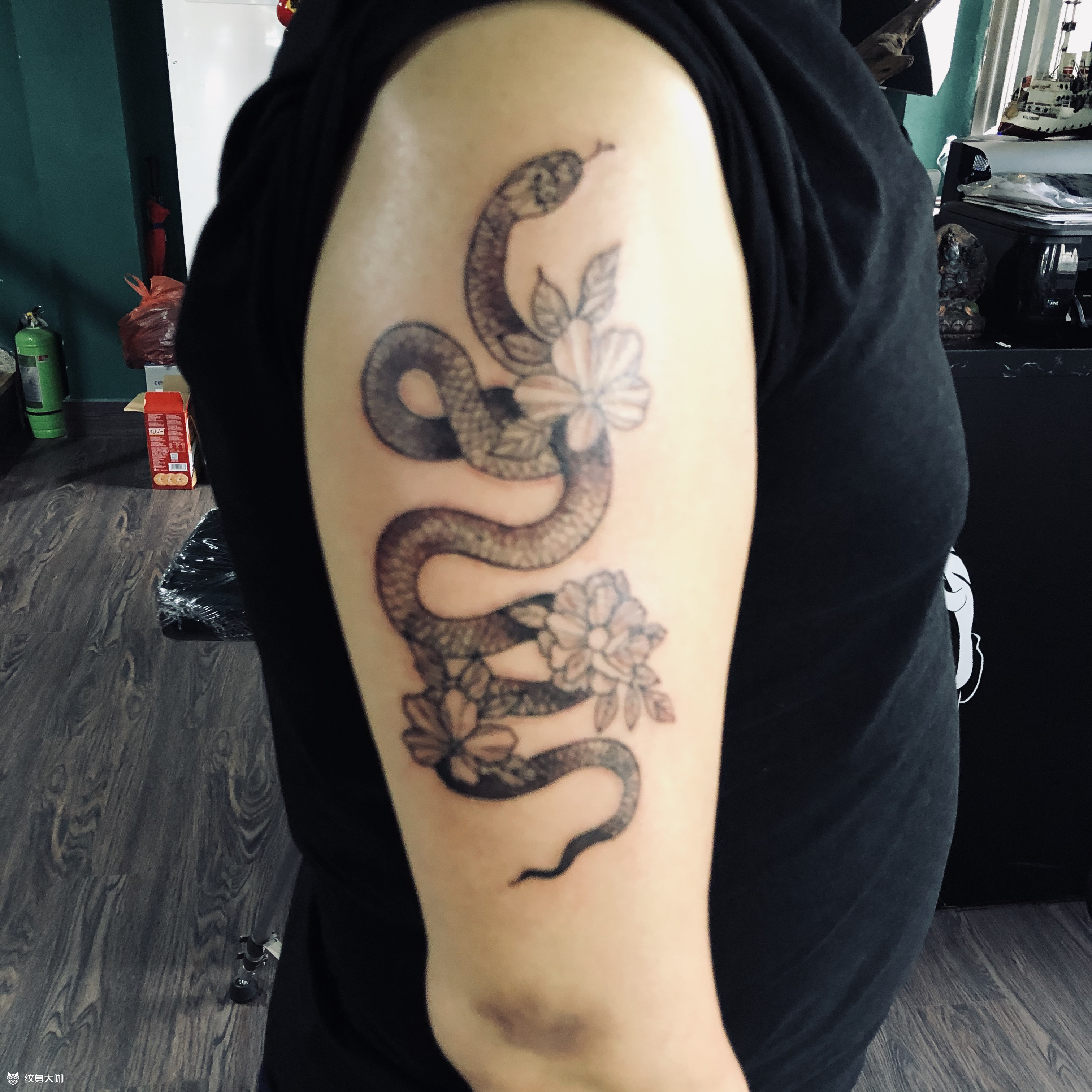 生肖蛇97_纹身图案手稿图片_大连布偶刺青的纹身作品集
