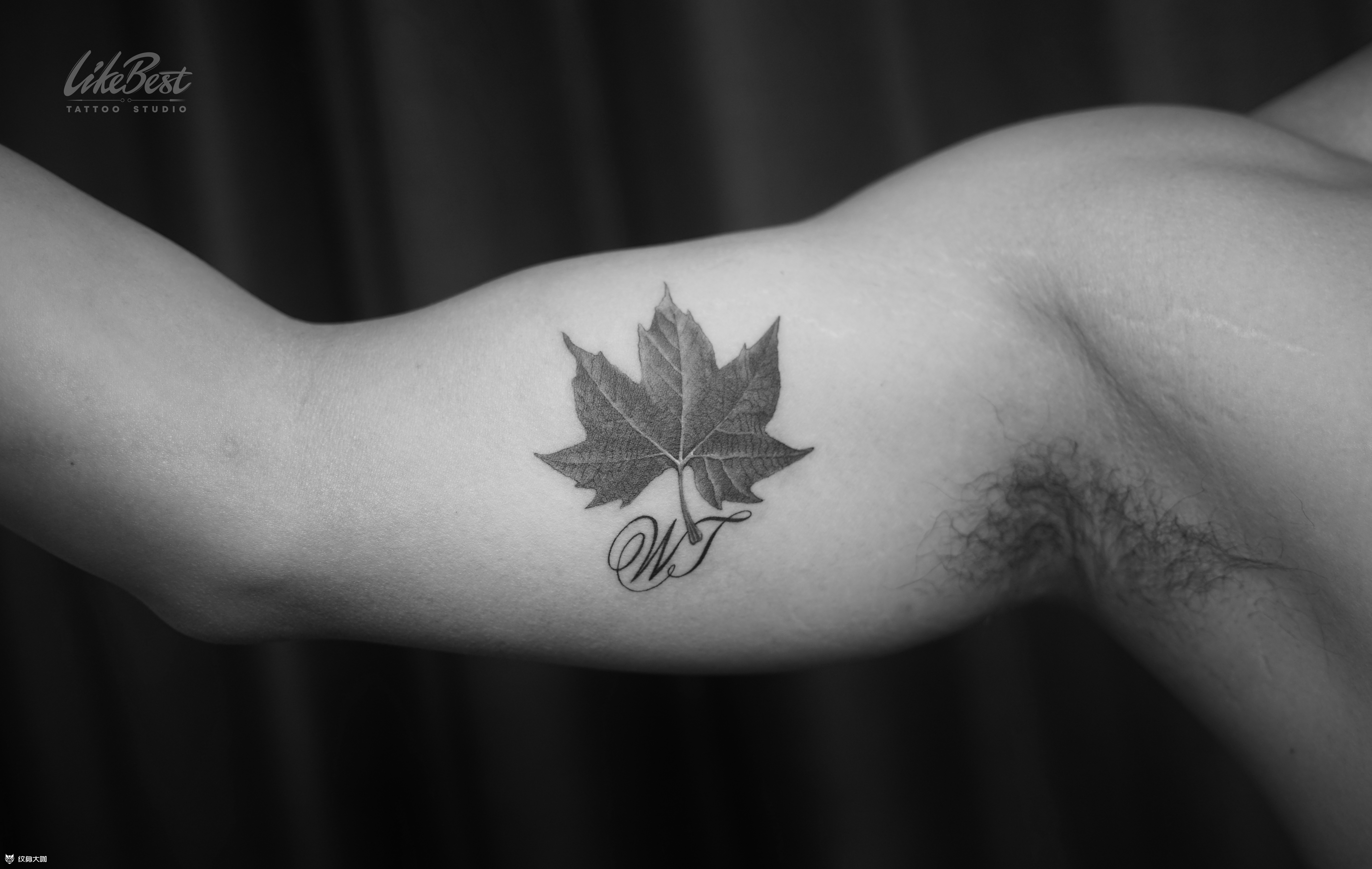 梧桐叶_纹身图案手稿图片_likebest的纹身作品集
