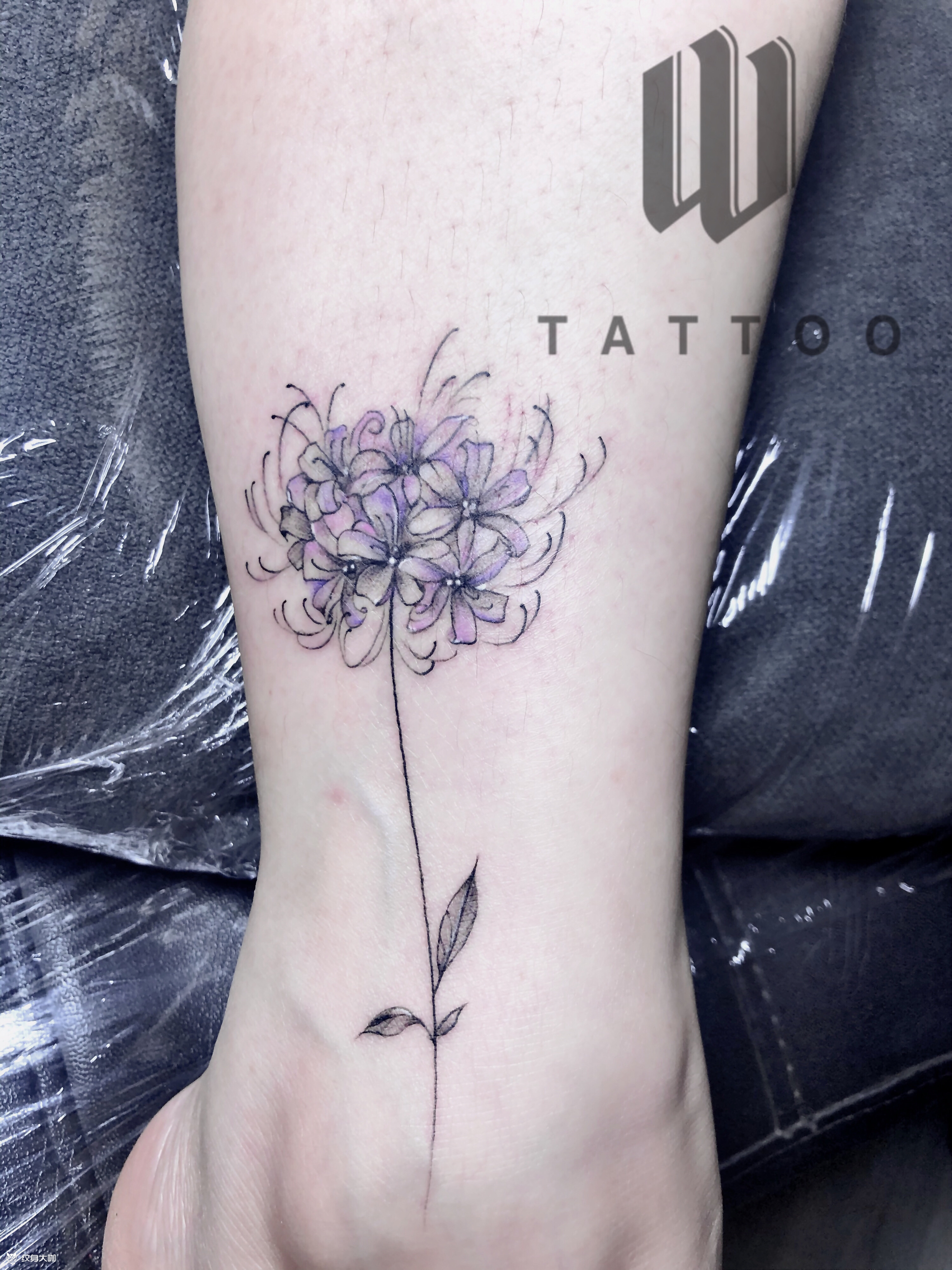 风信子_纹身图案手稿图片_张晓虎的纹身作品集