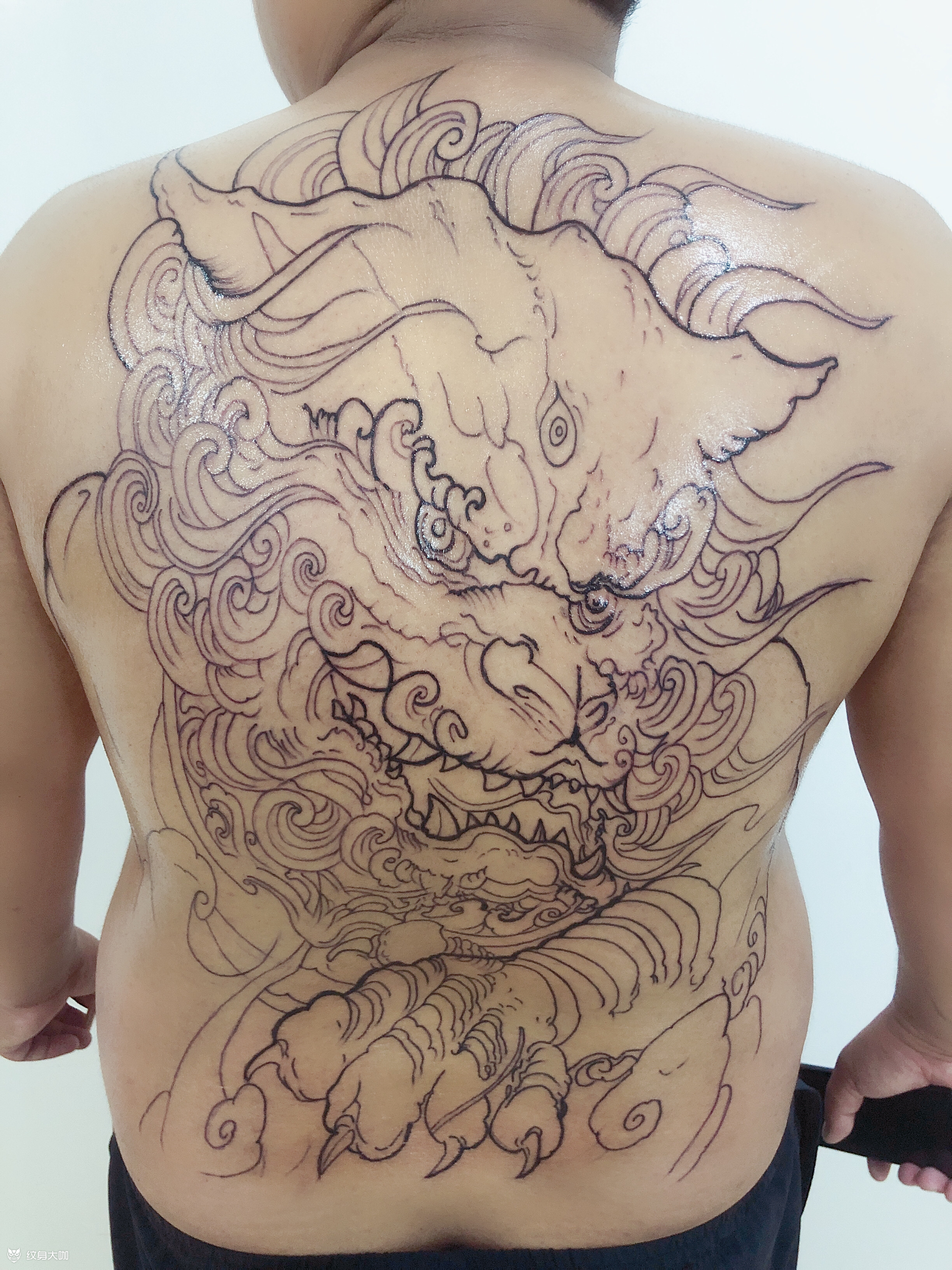 唐狮满背_纹身图案手稿图片_拾一的纹身作品集