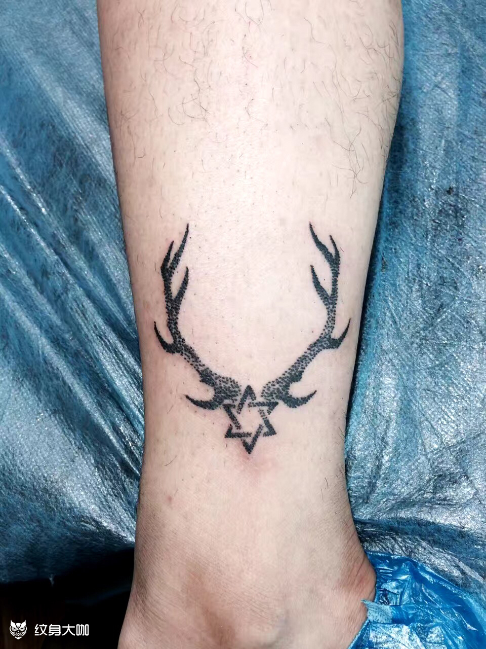 鹿角_纹身图案手稿图片_小伍的纹身作品集