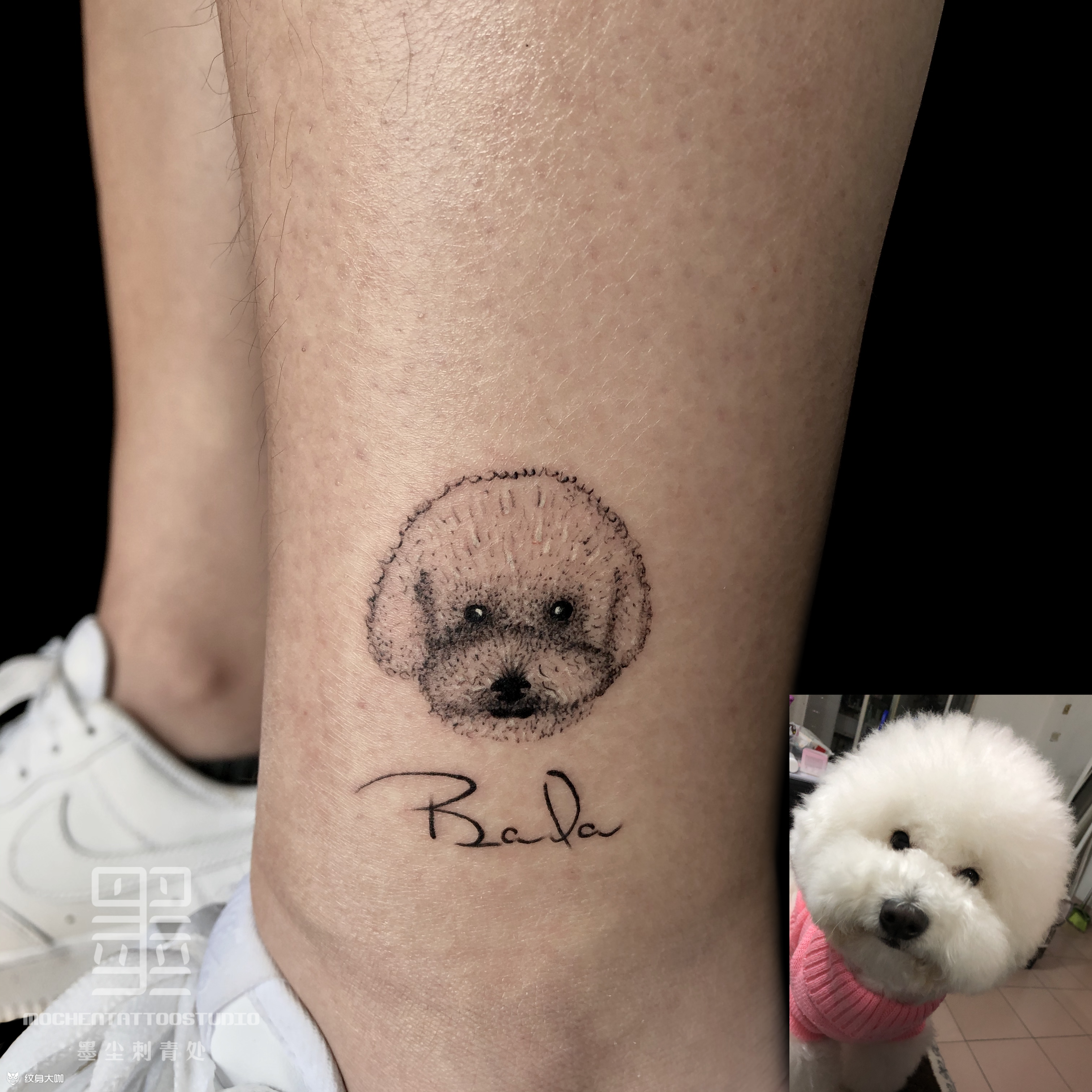比熊_纹身图案手稿图片_墨尘的纹身作品集