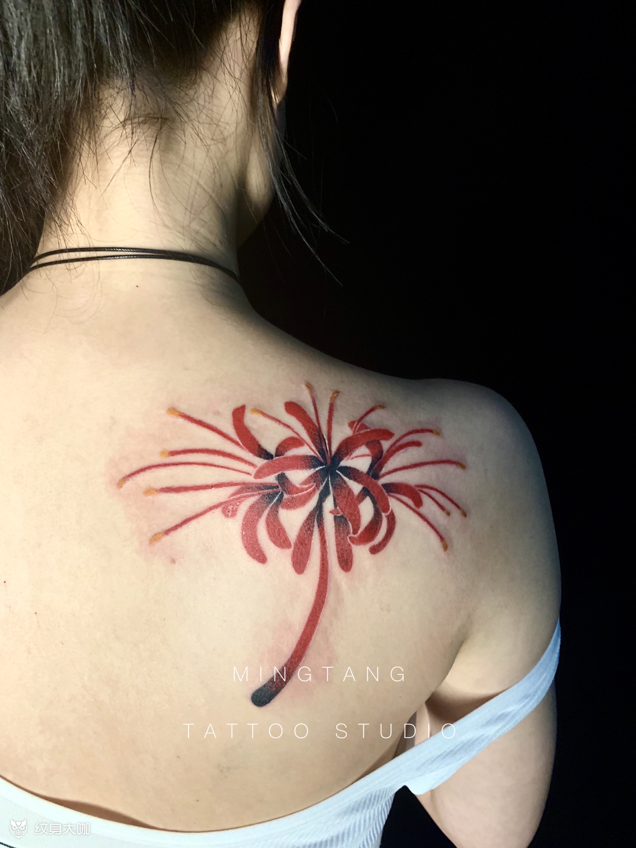 彼岸花_纹身图案手稿图片_面包的纹身作品集