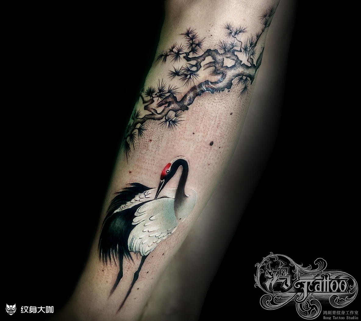 鹤_纹身图案手稿图片_lk的纹身作品集