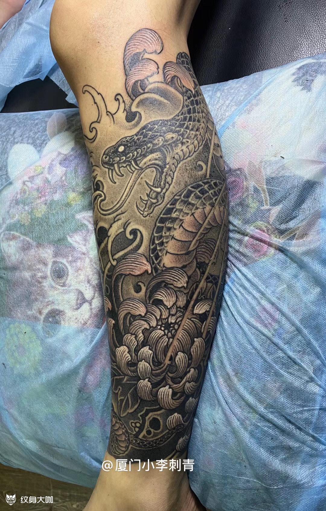 菊花蛇,李哥作品_纹身图案手稿图片_李飞煌的纹身作品集