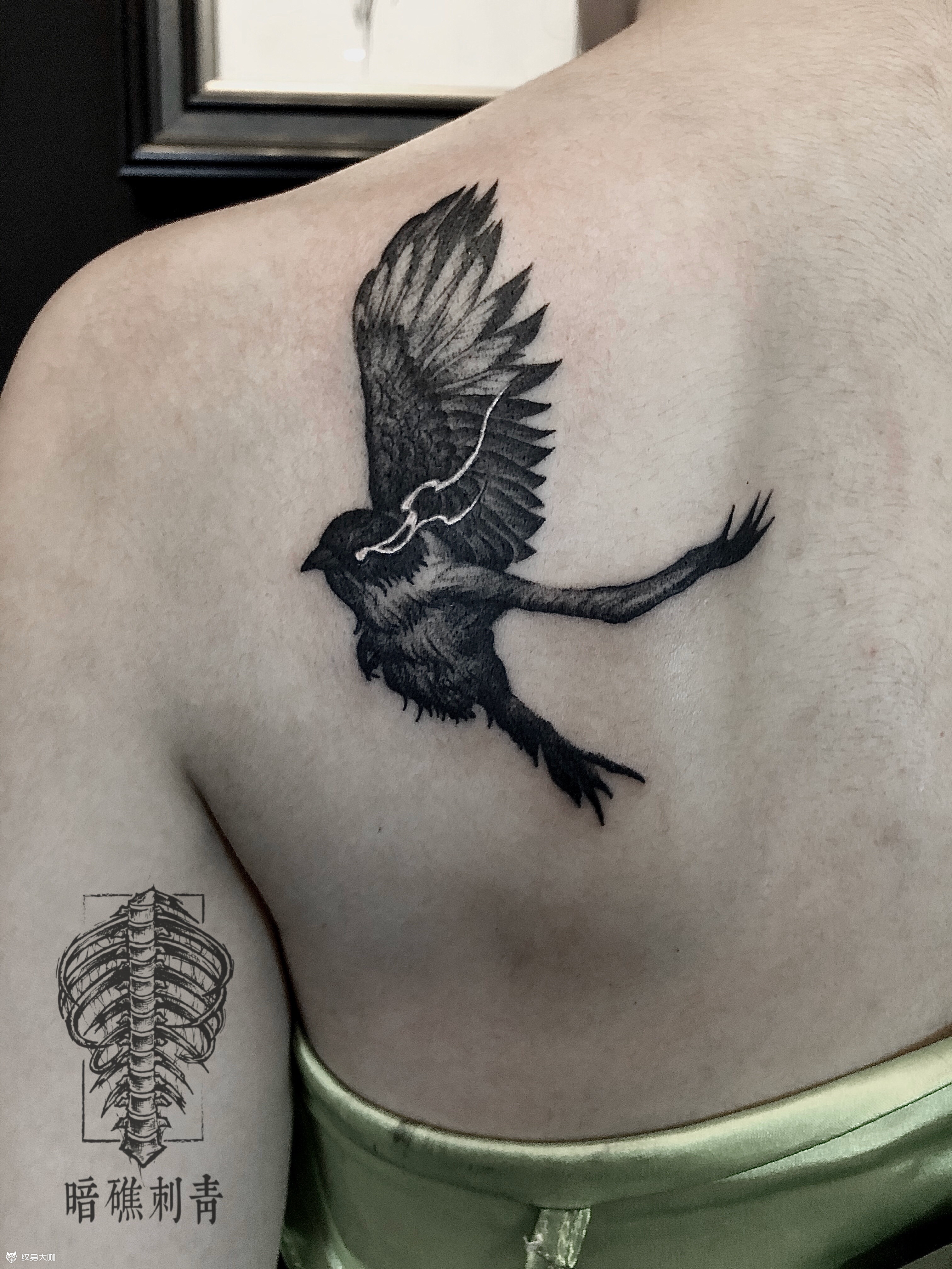 小鸟_纹身图案手稿图片_困树的纹身作品集