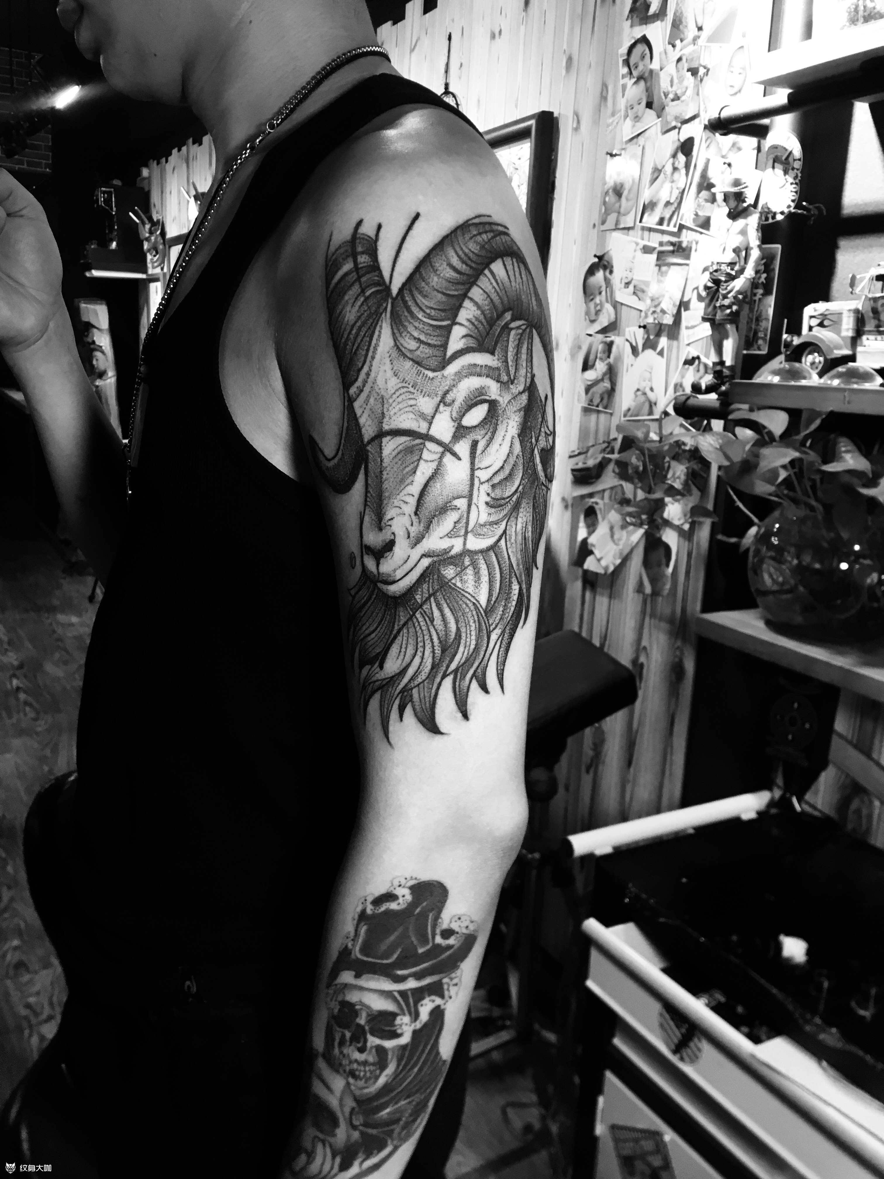 山羊_纹身图案手稿图片_米娜的纹身作品集