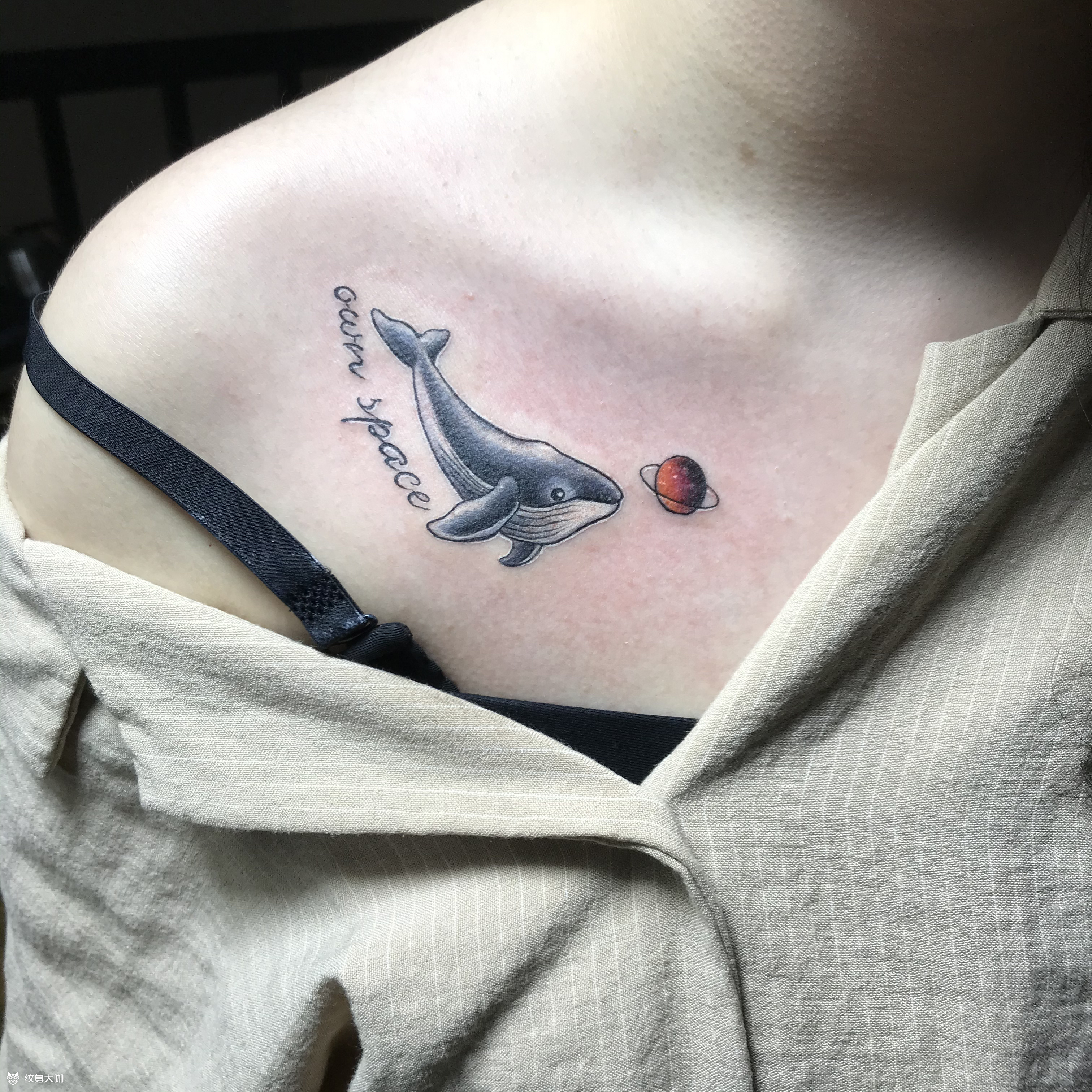 海豚_纹身图案手稿图片_应杰的纹身作品集
