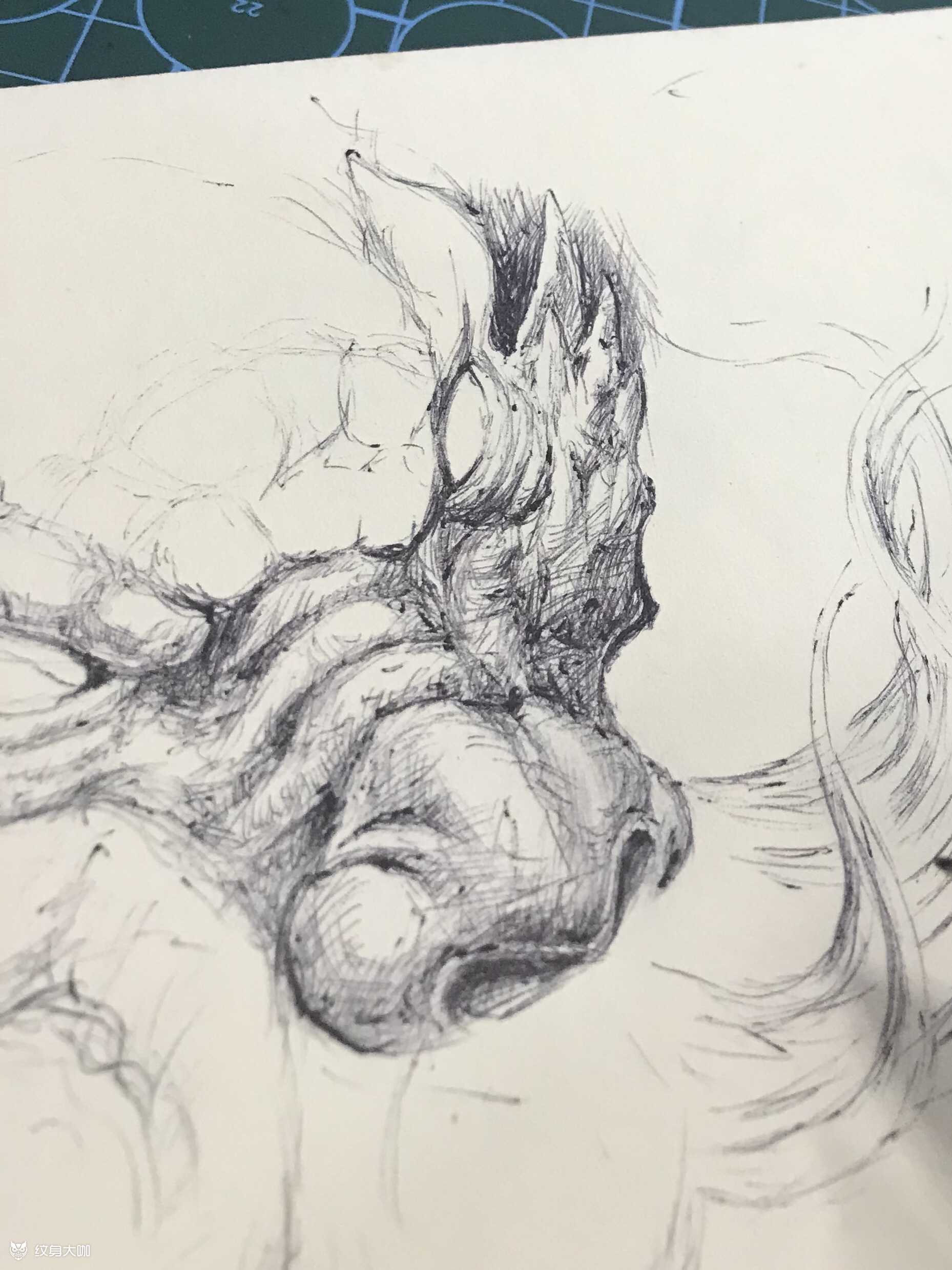 圆珠笔速写龙_纹身图案手稿图片_刺客毅哥的纹身作品集