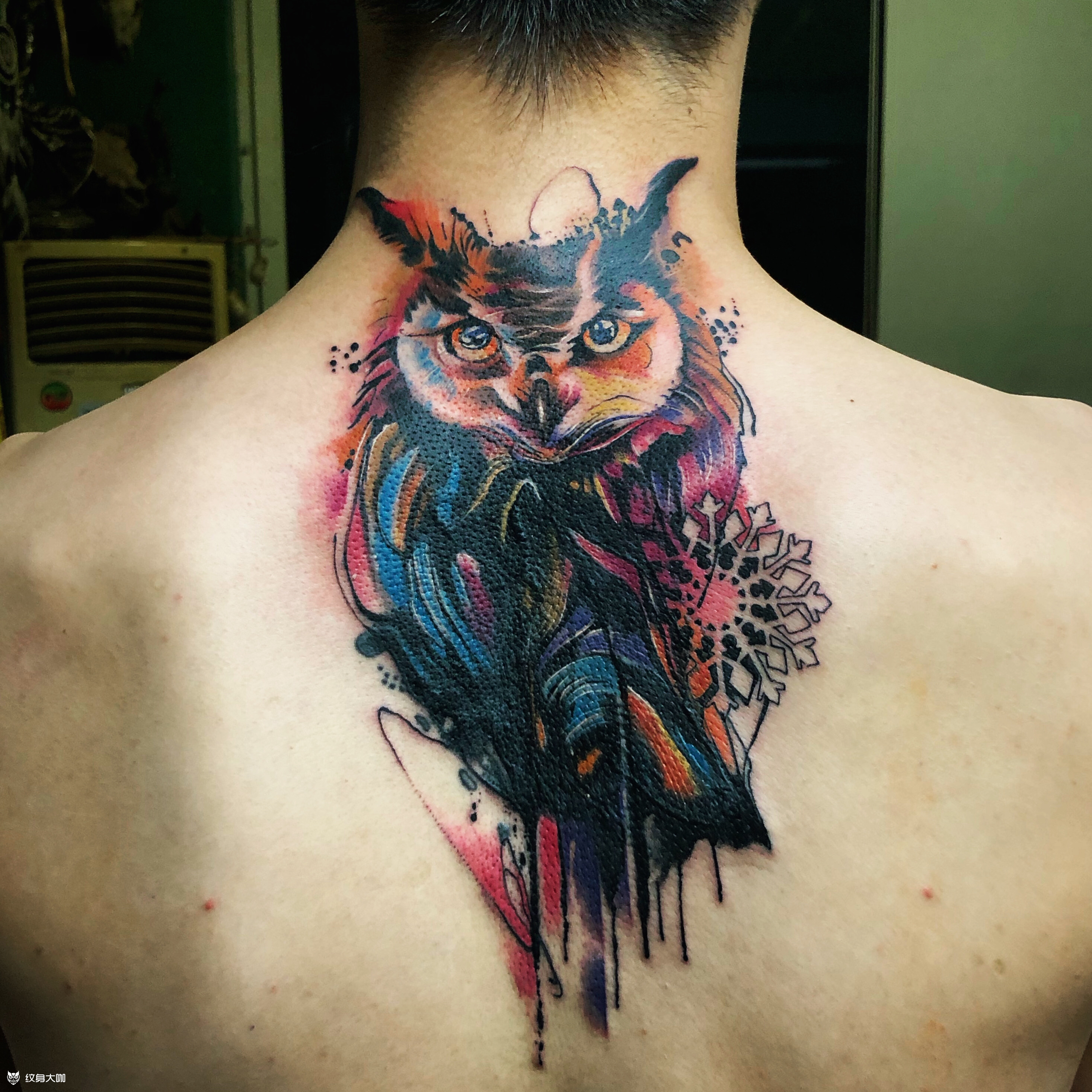 猫头鹰_纹身图案手稿图片_李纹肆的纹身作品集