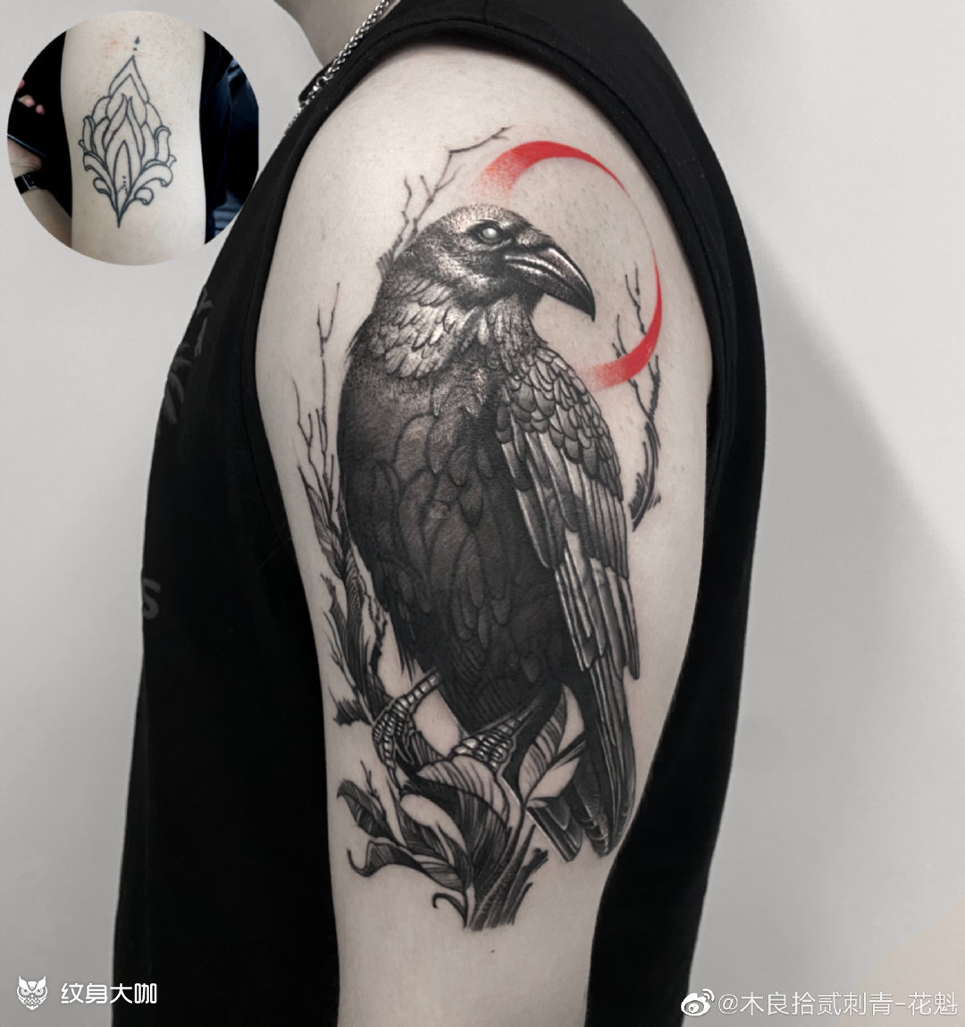 乌鸦遮盖_纹身图案手稿图片_花魁师傅的纹身作品集