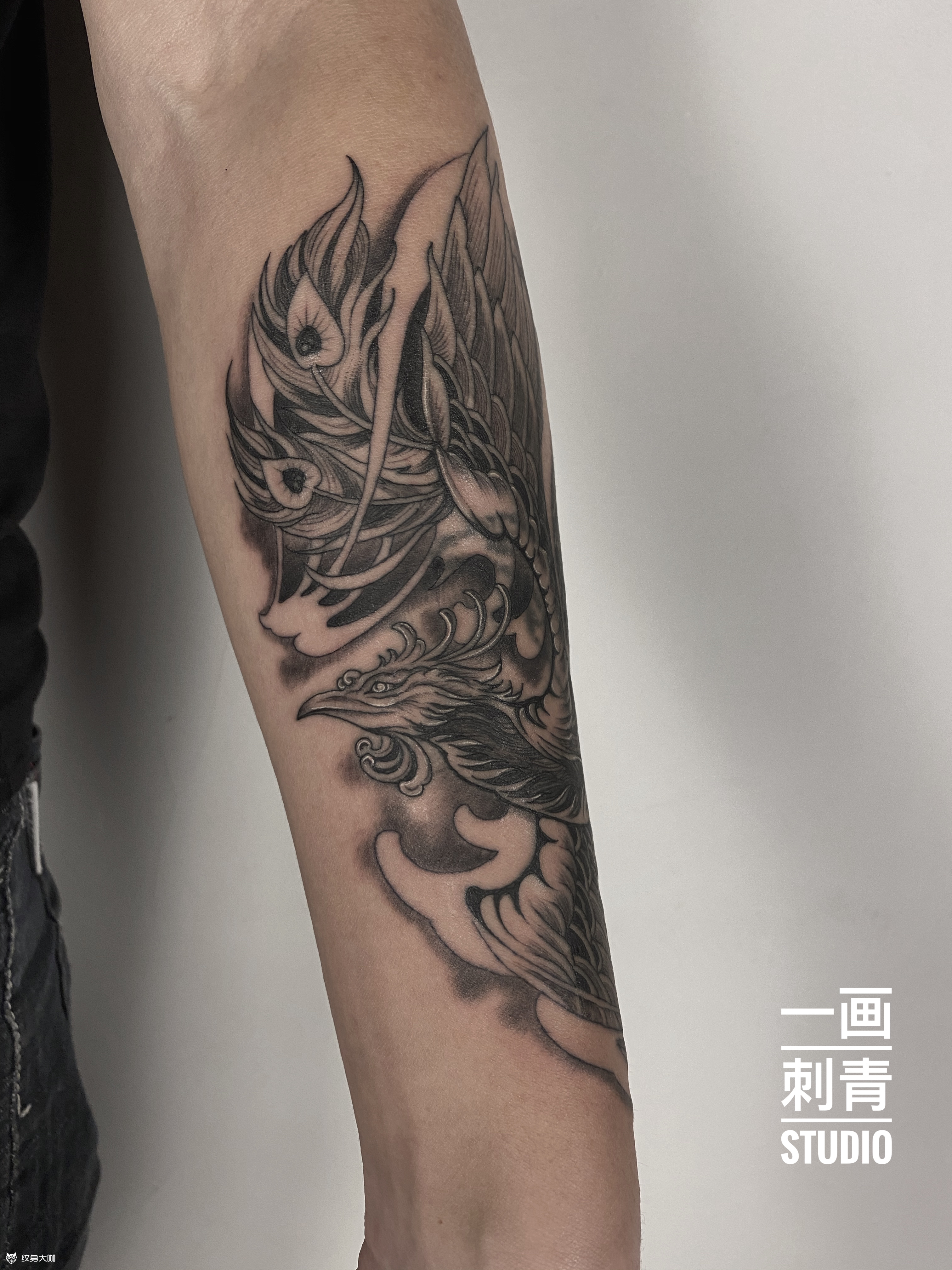 凤凰遮盖_纹身图案手稿图片_伟…的纹身作品集
