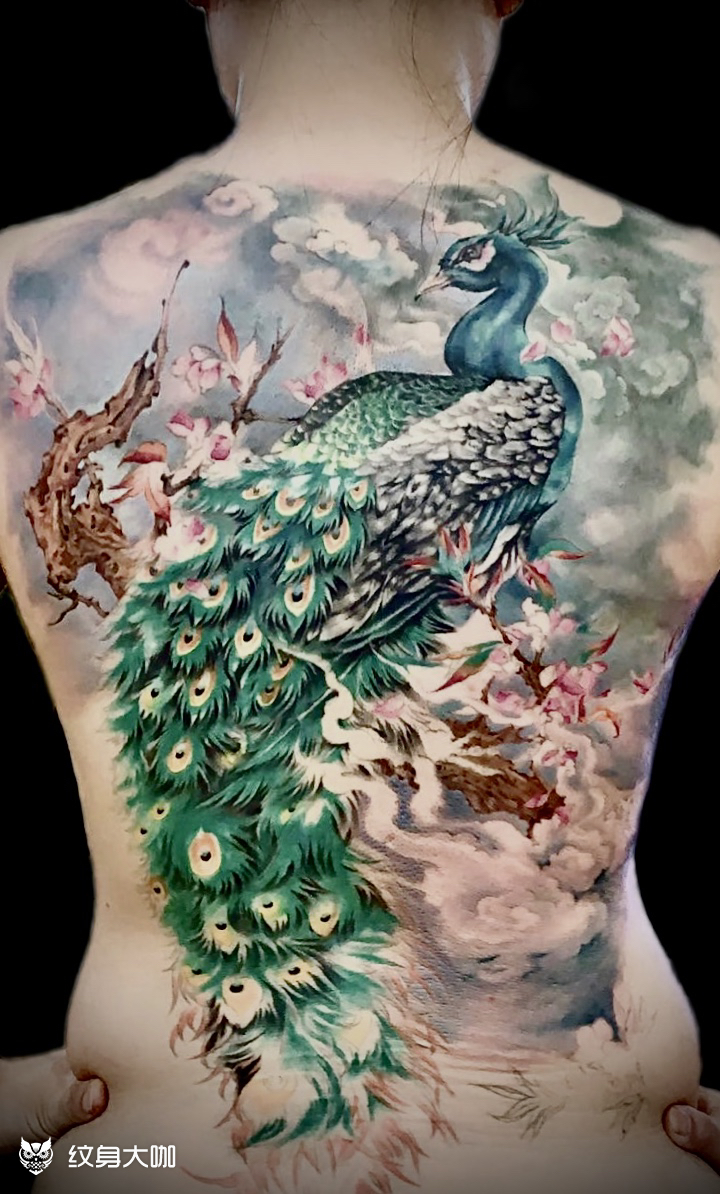 孔雀_纹身图案手稿图片_金子的纹身作品集