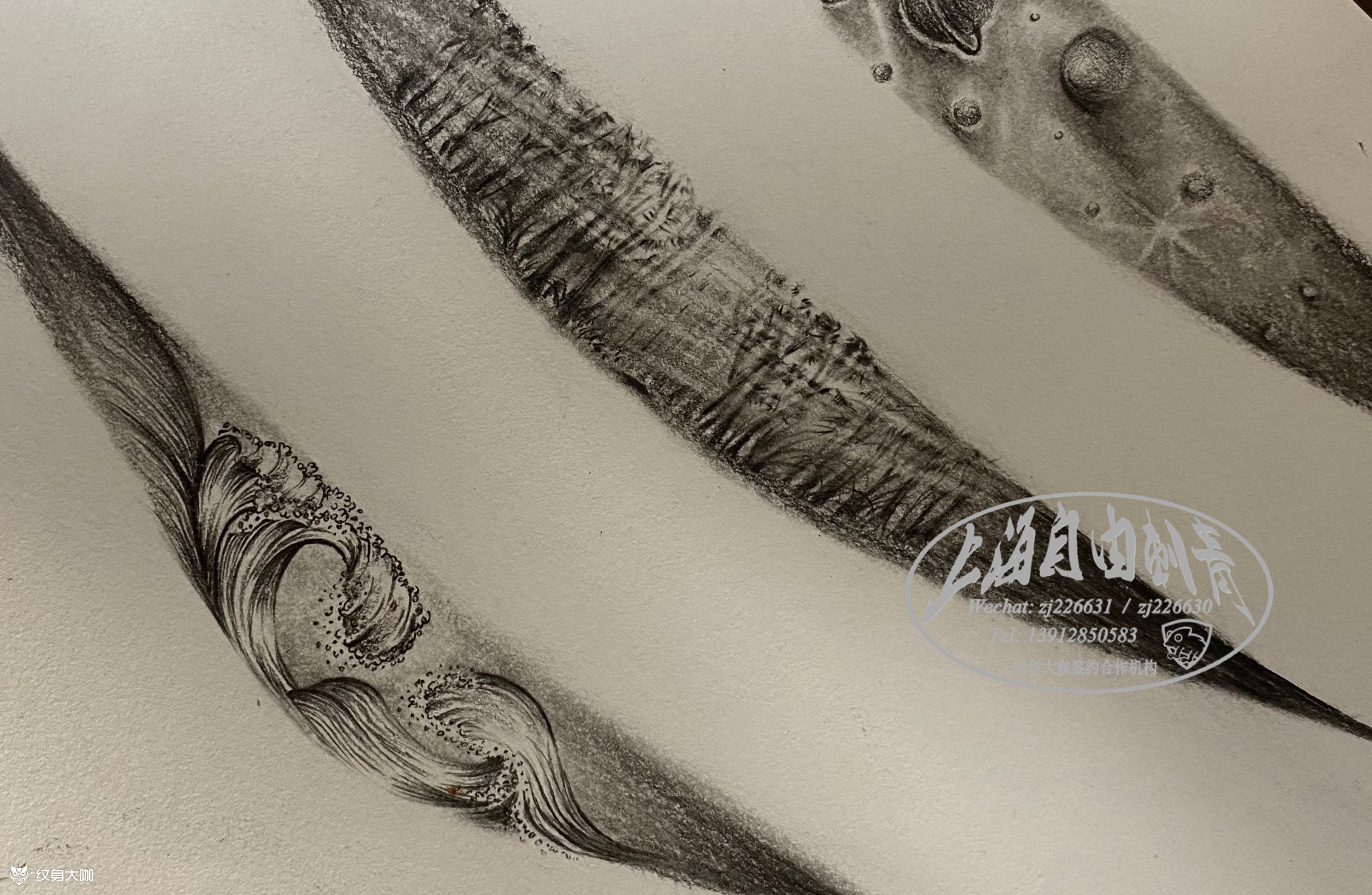 鲨鱼鳍今日作品鲨鱼鳍,三根鳍_纹身吧社区 - 纹身大咖