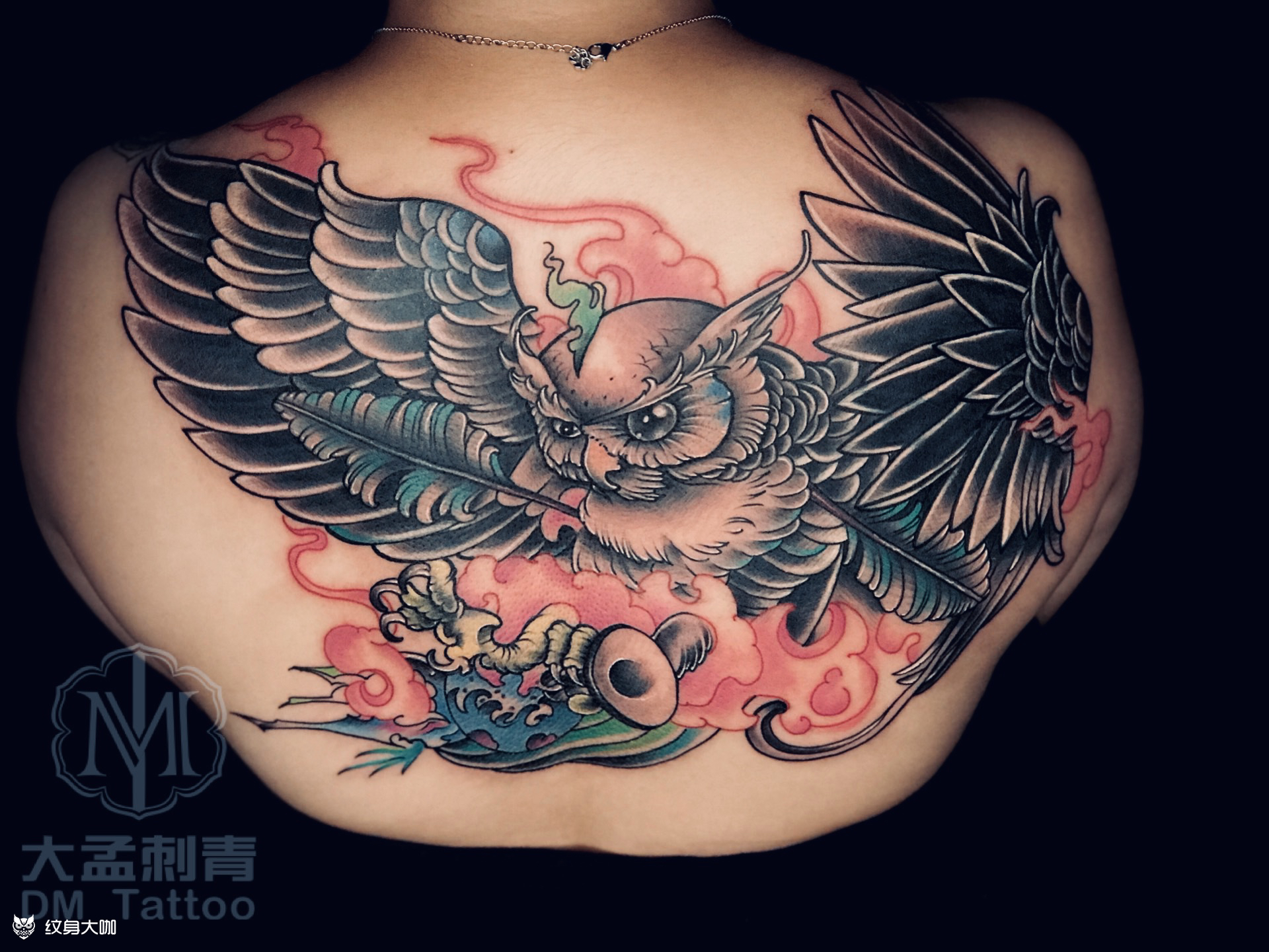 猫头鹰纹身图片胸前图片