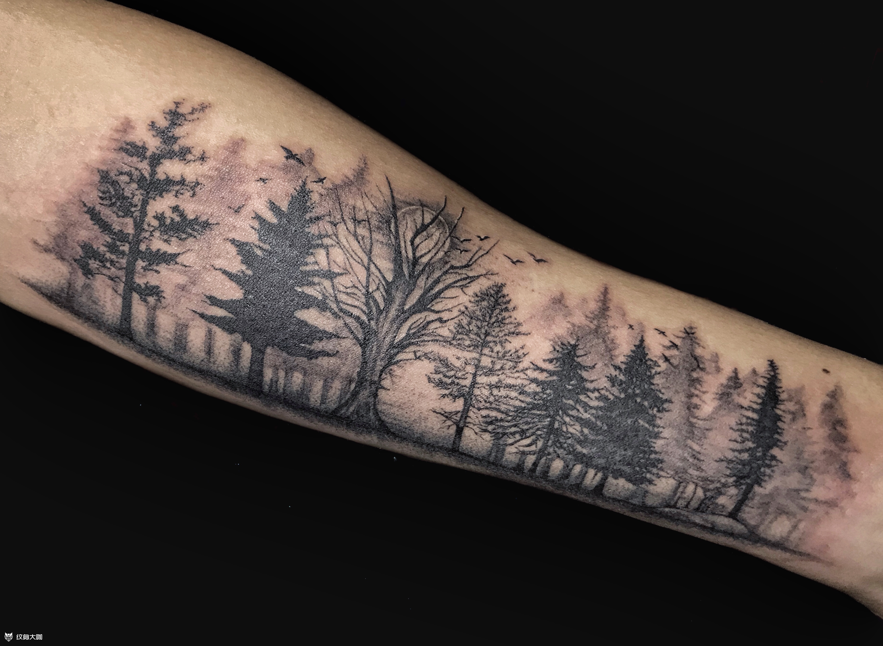 61雌犬刺青61森林61_纹身图案手稿图片_于雯捷的纹身作品集