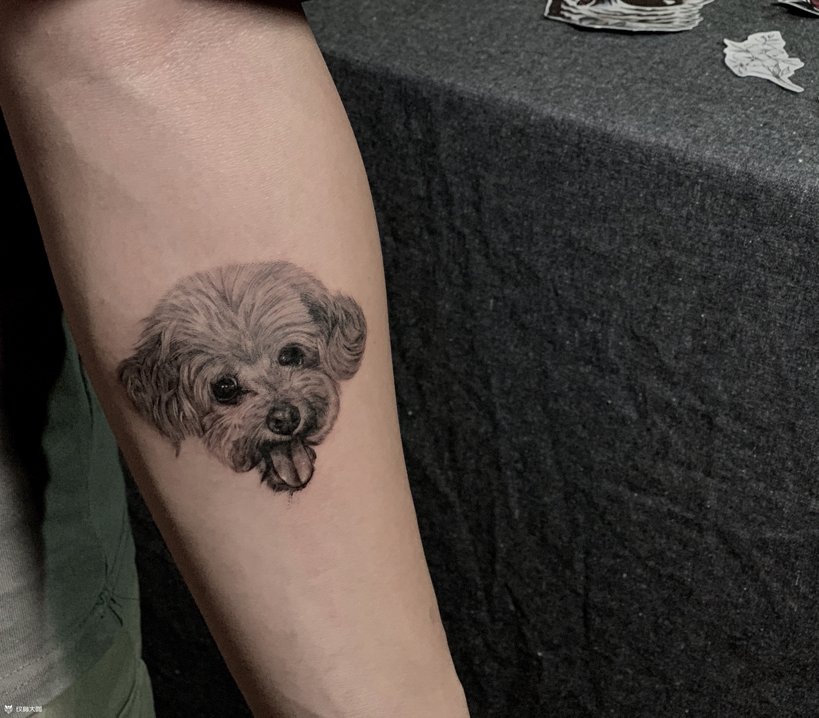 小泰迪_纹身图案手稿图片_人皮商.yujie的纹身作品集
