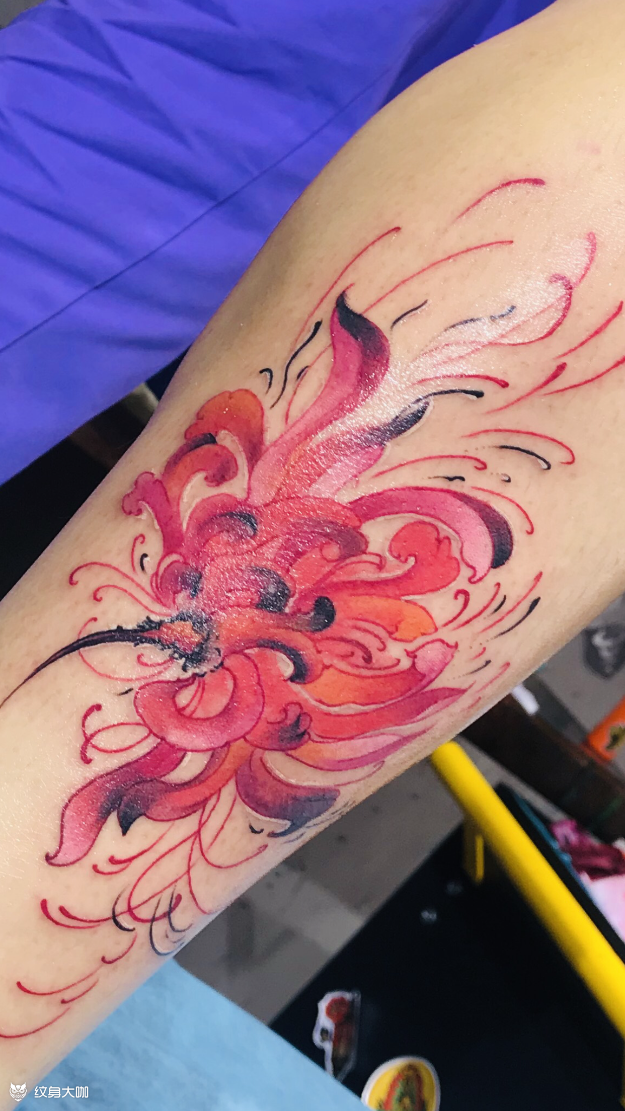 小腿彼岸花_纹身图案手稿图片_高冉的纹身作品集