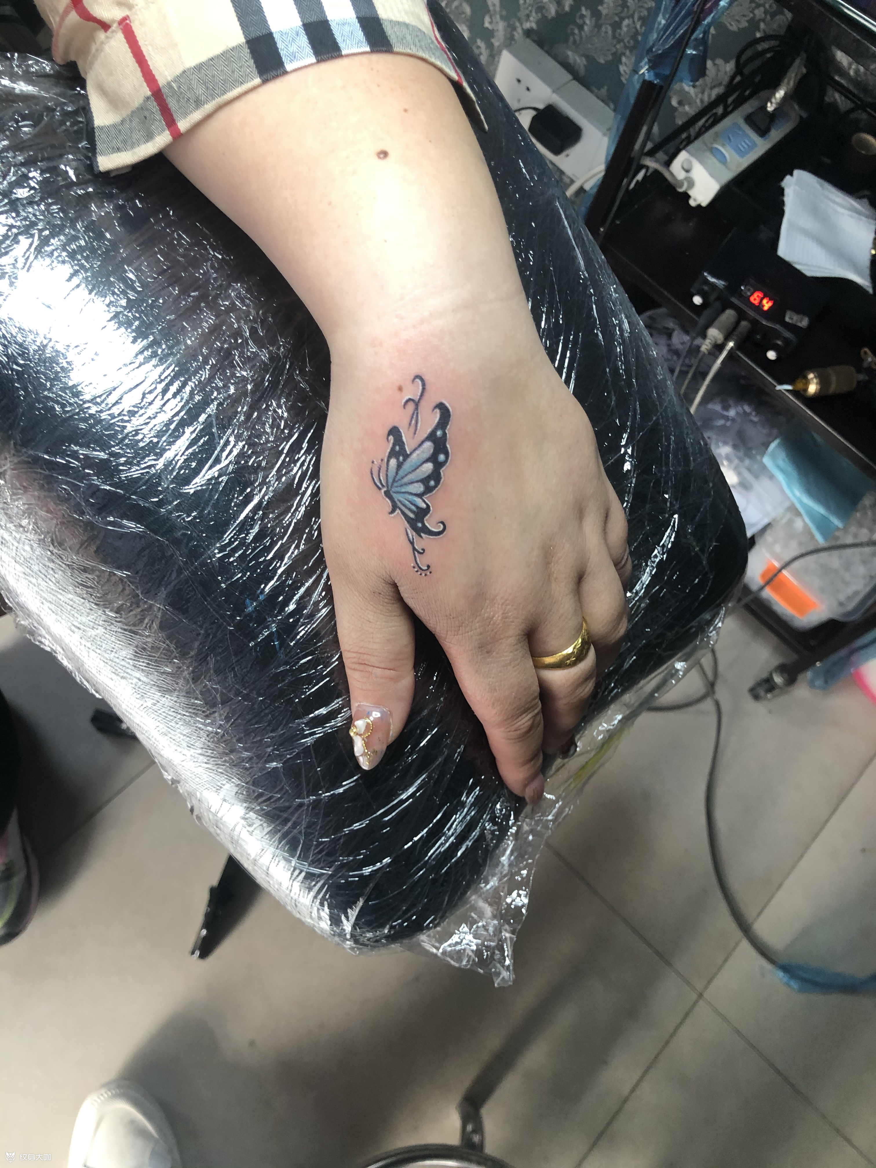 蝴蝶_纹身图案手稿图片_刘剑的纹身作品集