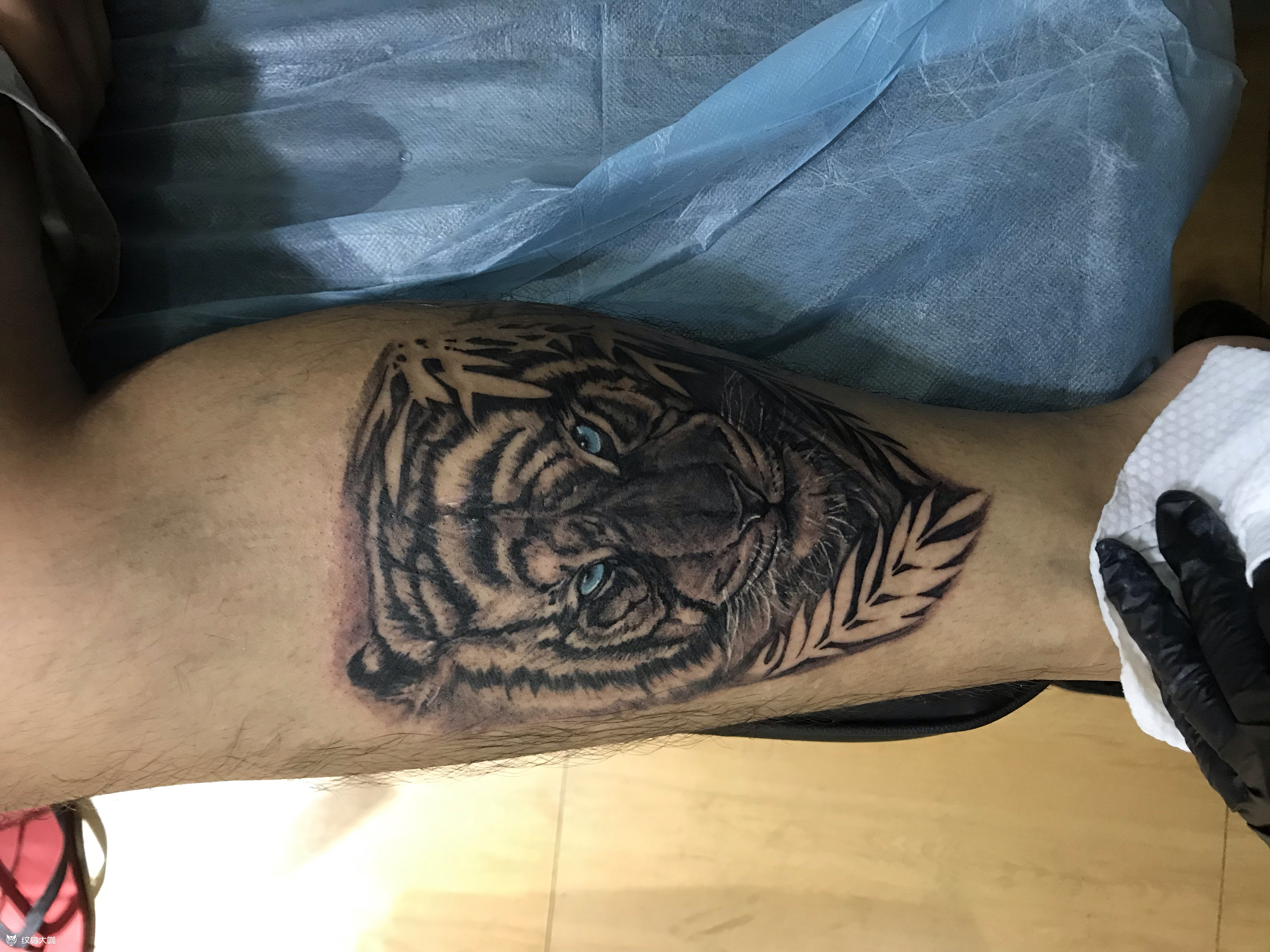 老虎_纹身图案手稿图片_吕小飞的纹身作品集