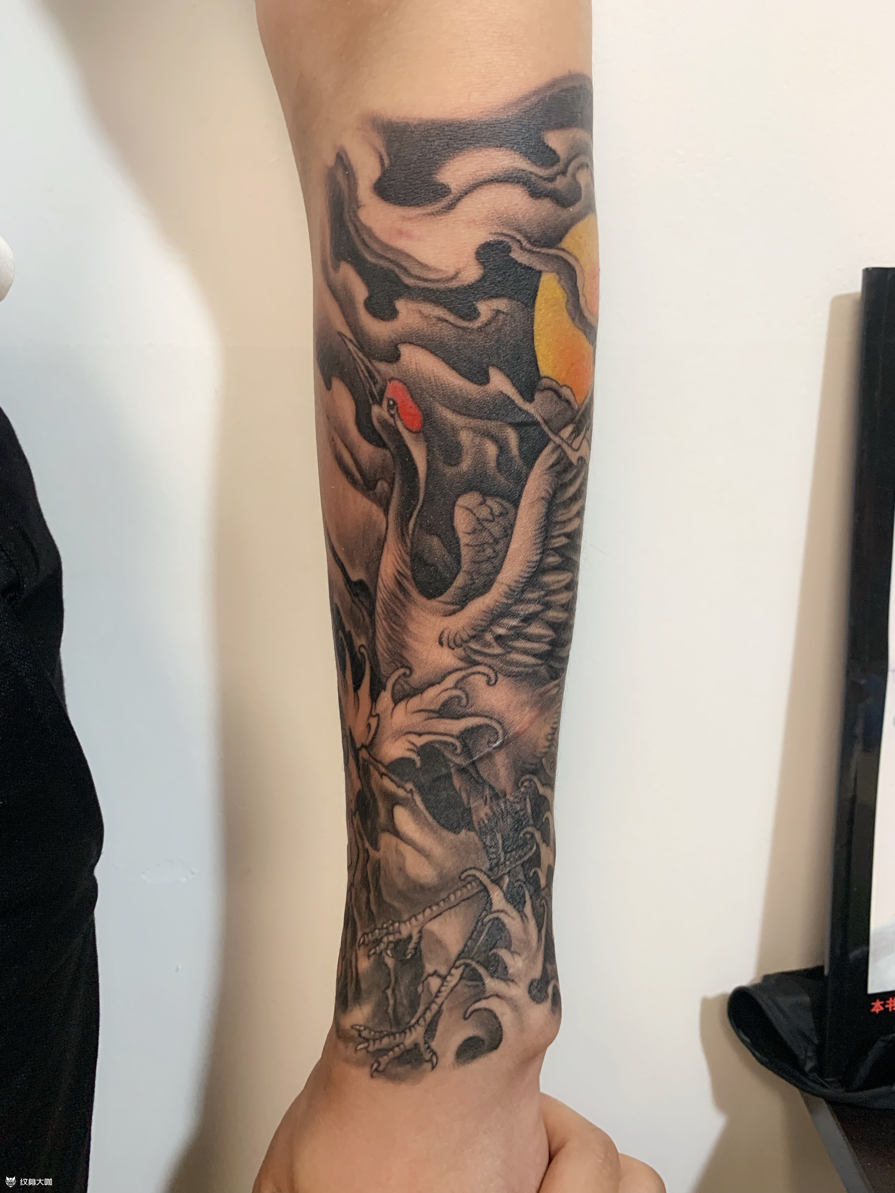 丹顶鹤(78890)_纹身图案手稿图片_九纹龙的纹身作品集