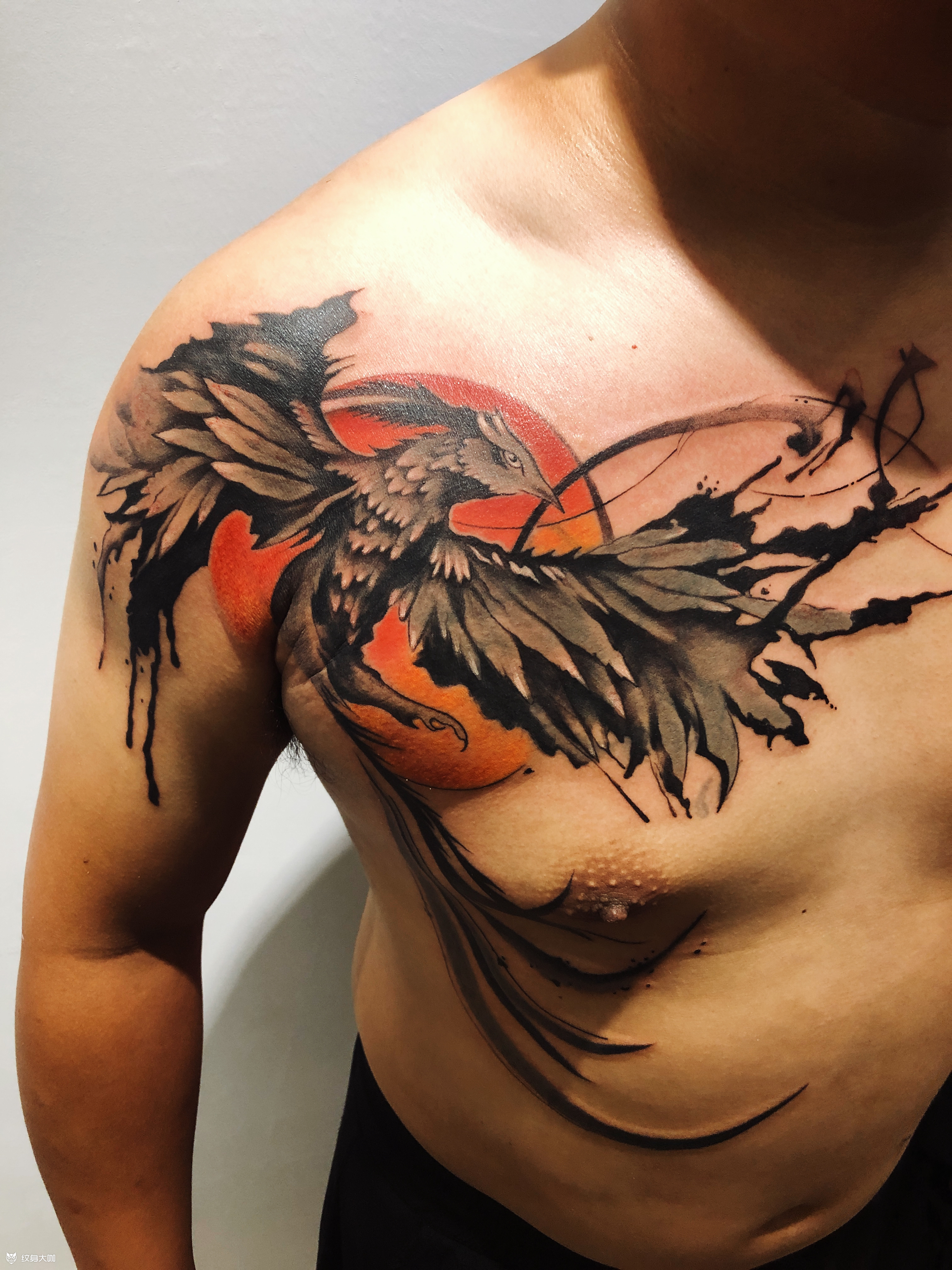 朱雀_纹身图案手稿图片_大千的纹身作品集
