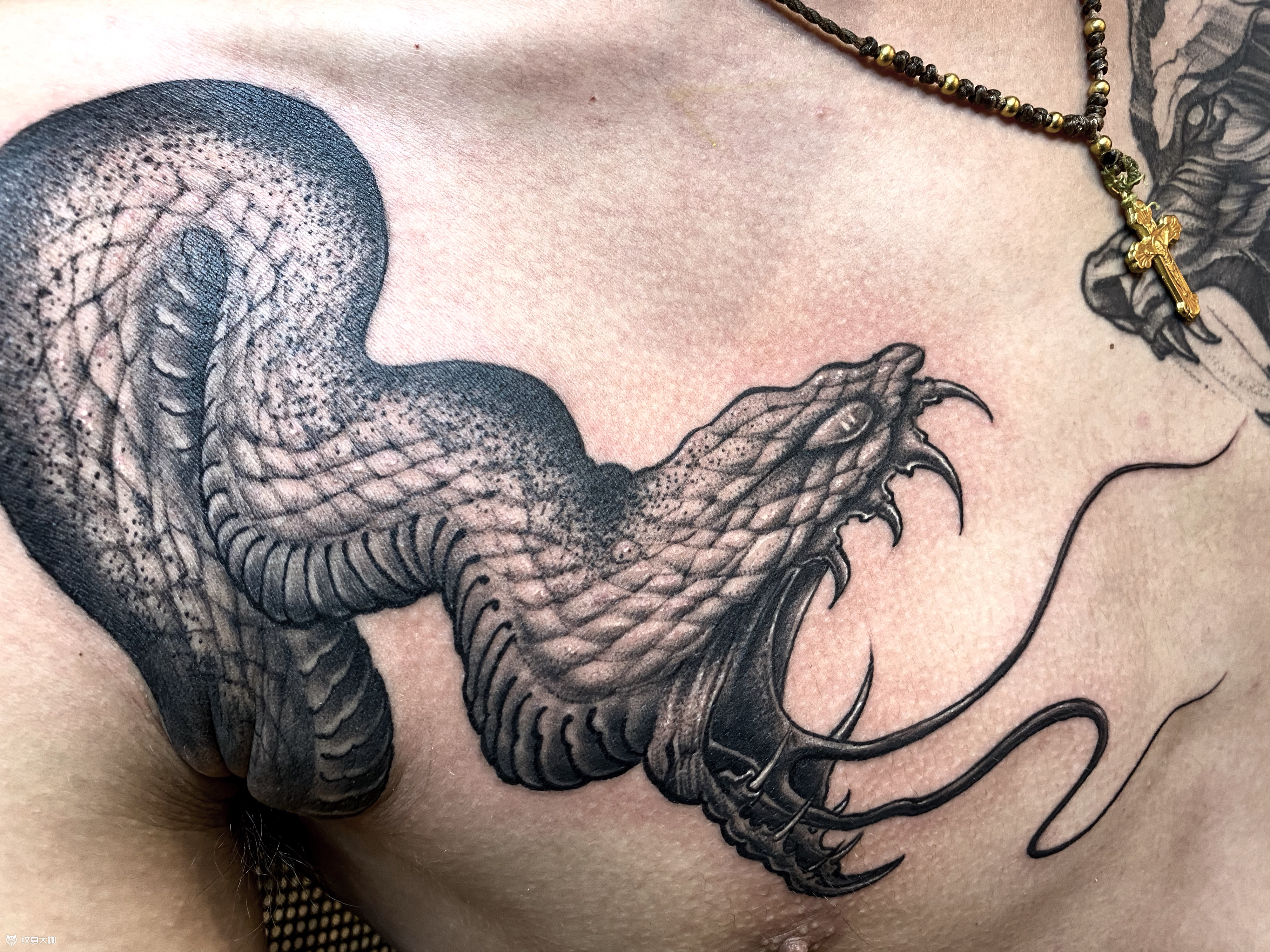 蛇_纹身图案手稿图片_吴凯的纹身作品集