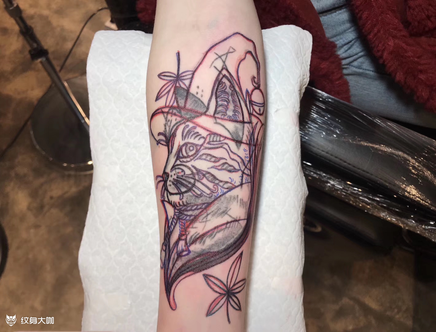 修改旧纹身猫咪修改是极其繁琐_纹身吧社区 - 纹身大咖