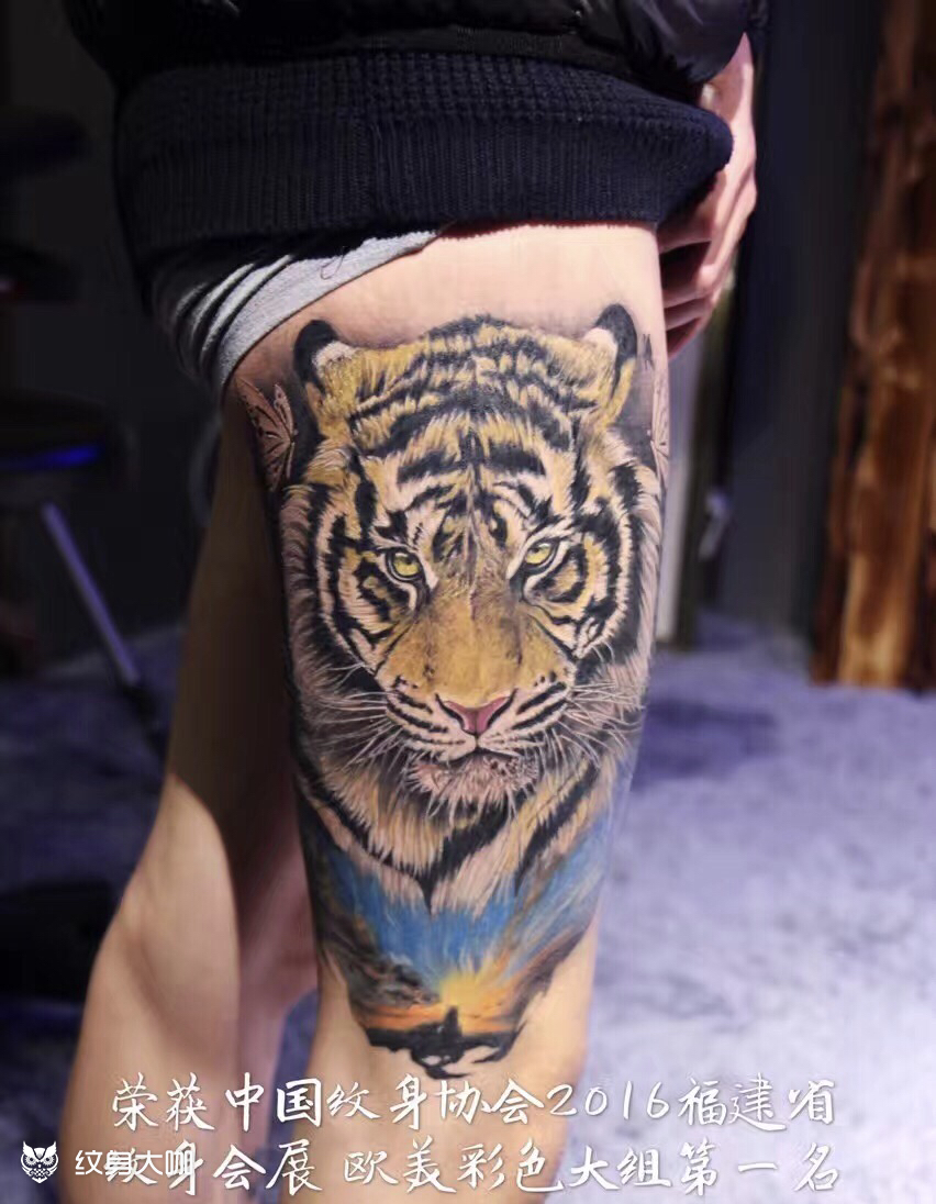 欧美彩色写实老虎_纹身图案手稿图片_温国杰的纹身作品集