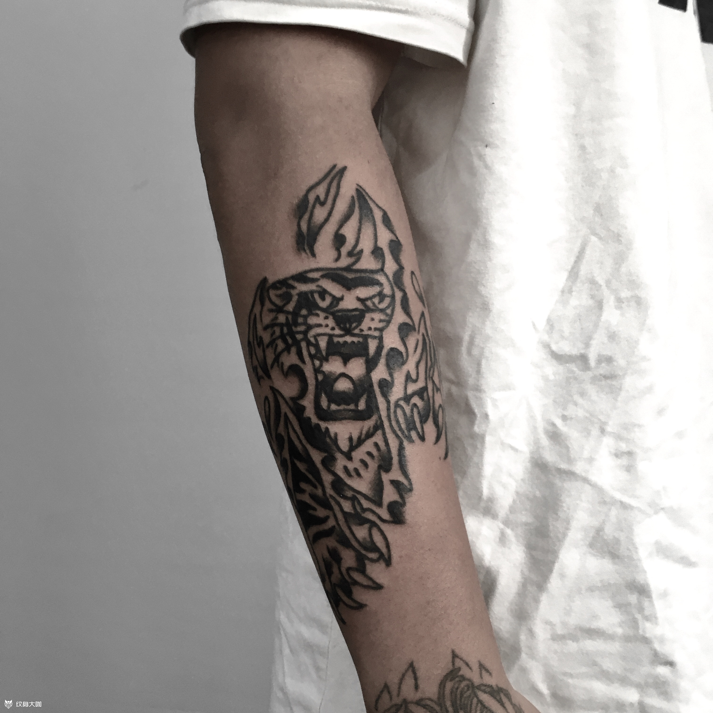 虎_纹身图案手稿图片_tree的纹身作品集