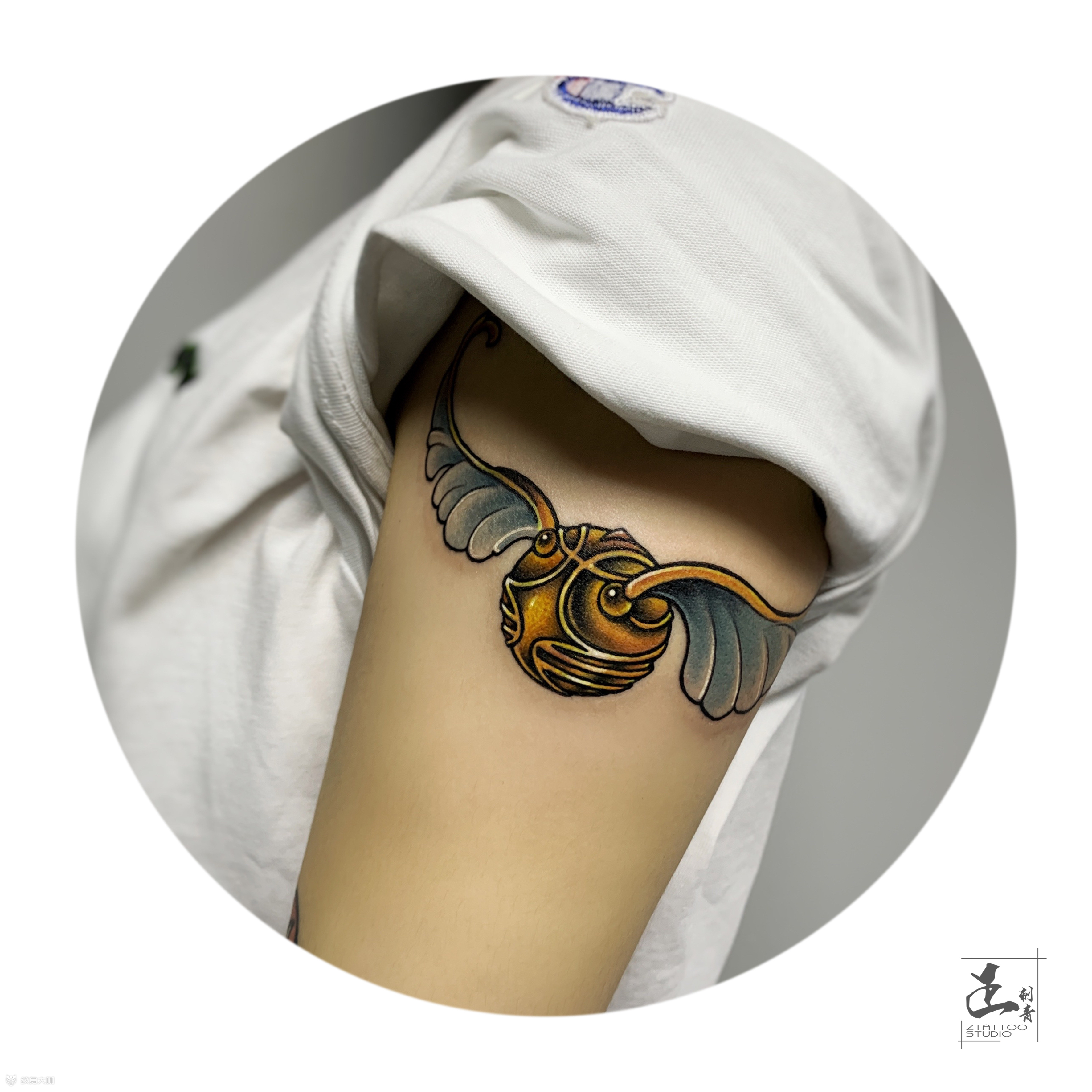 金色飞贼_纹身图案手稿图片_晓鹏的纹身作品集