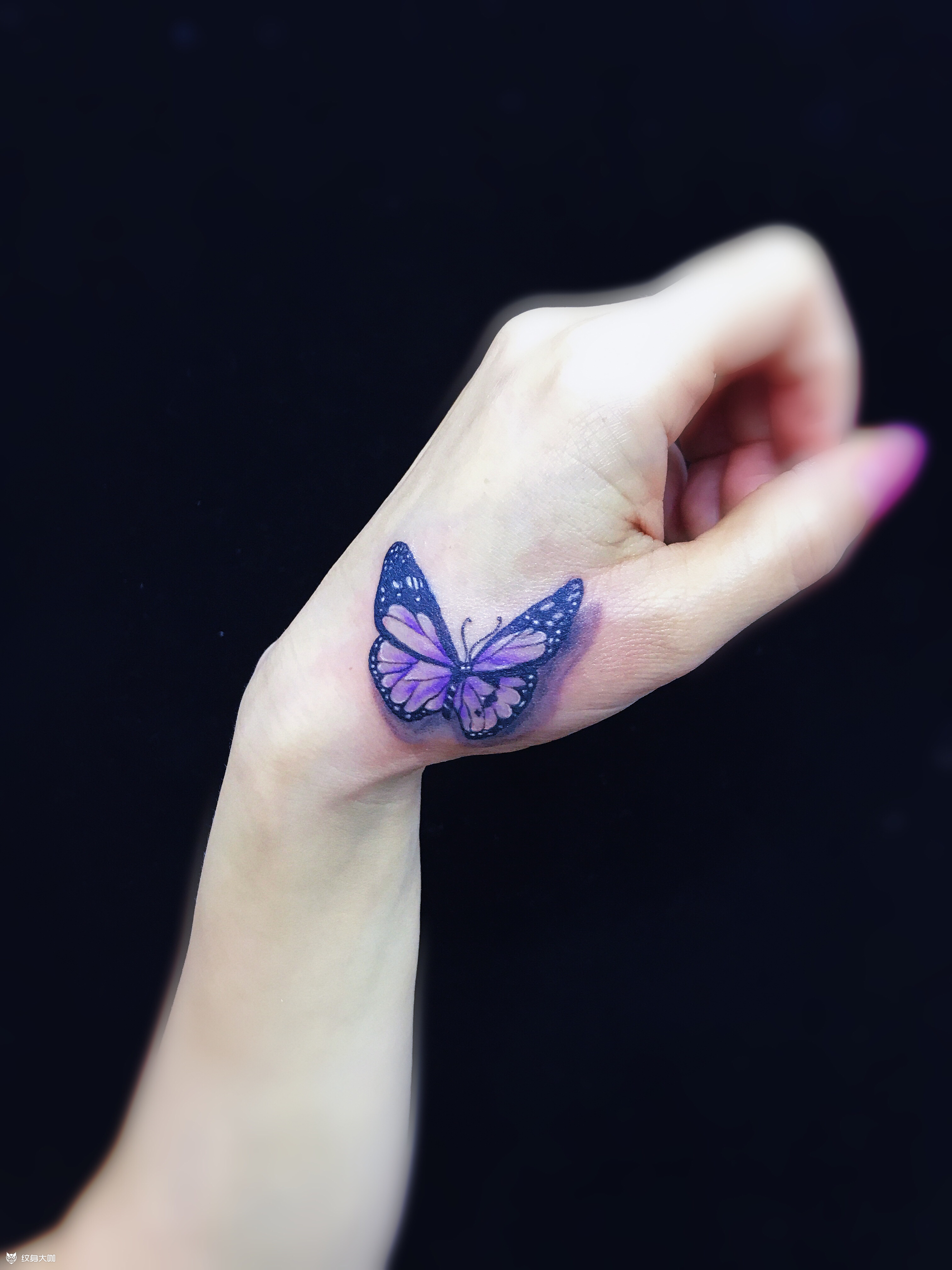 蝴蝶_纹身图案手稿图片_古螭的纹身作品集