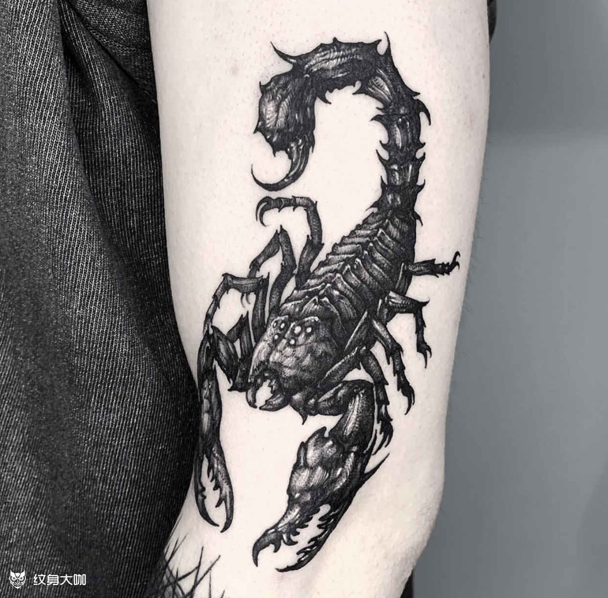 蝎子_纹身图案手稿图片_雕久horihisa的纹身作品集