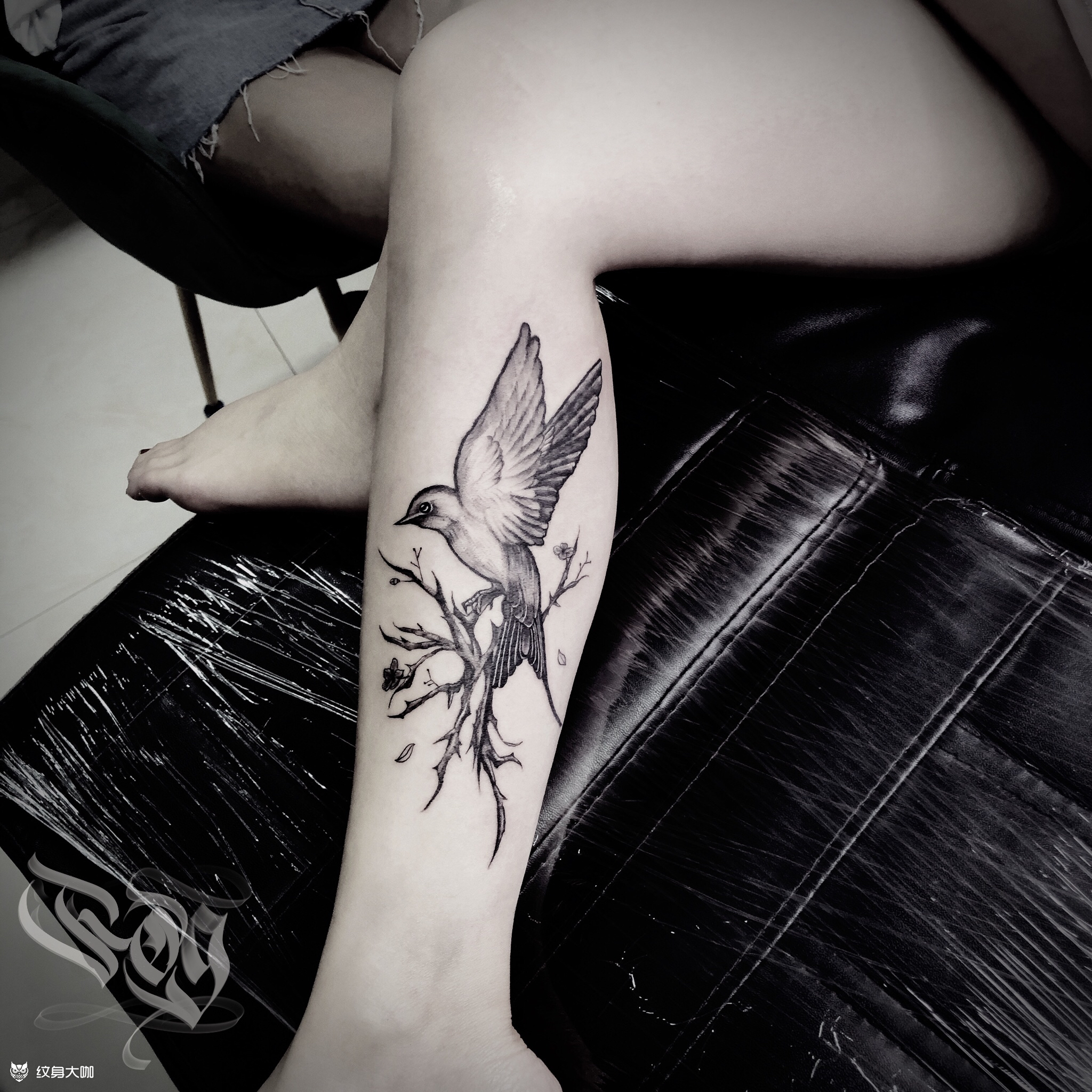 荆棘鸟90_纹身图案手稿图片_·厵·的纹身作品集