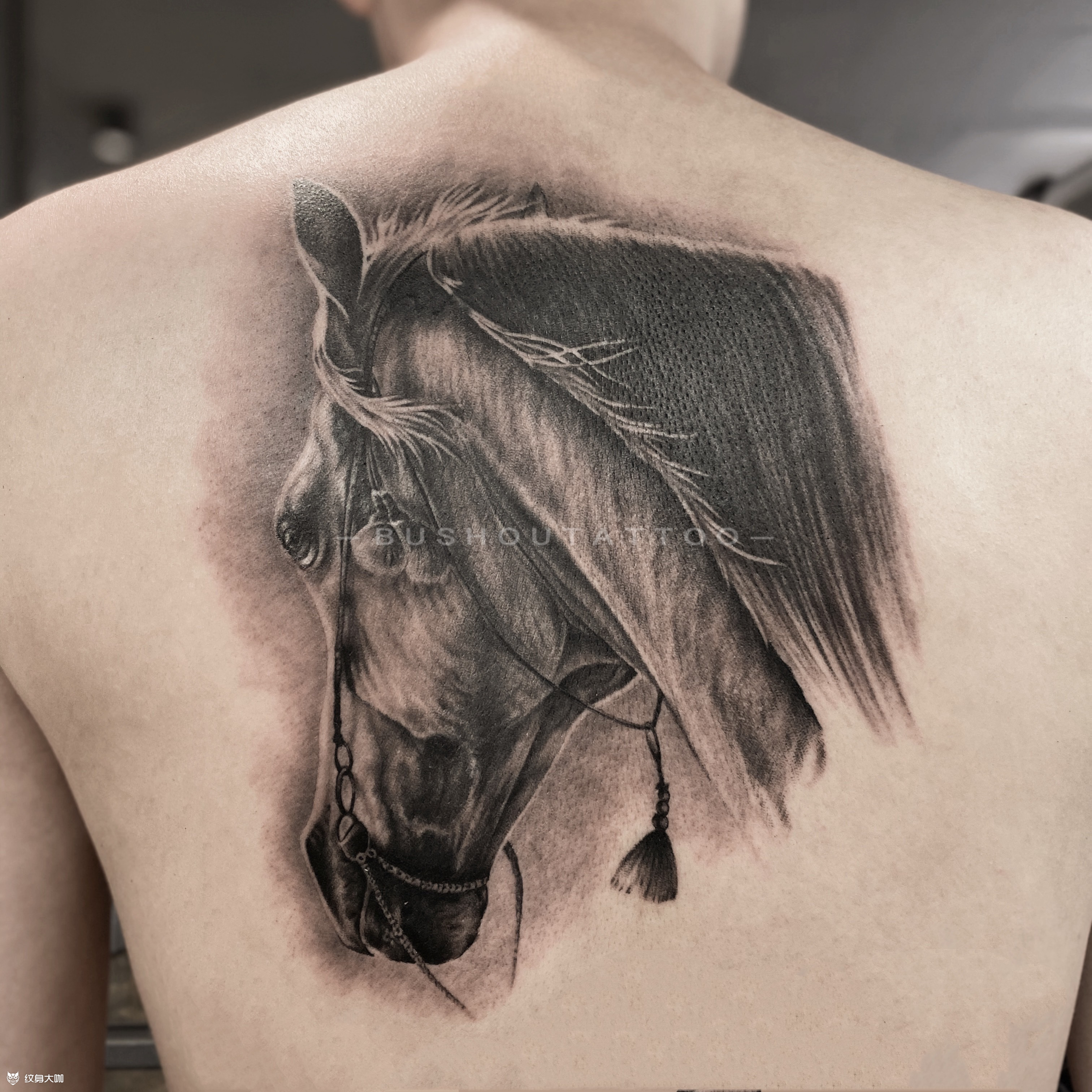 纹身图案马头图片