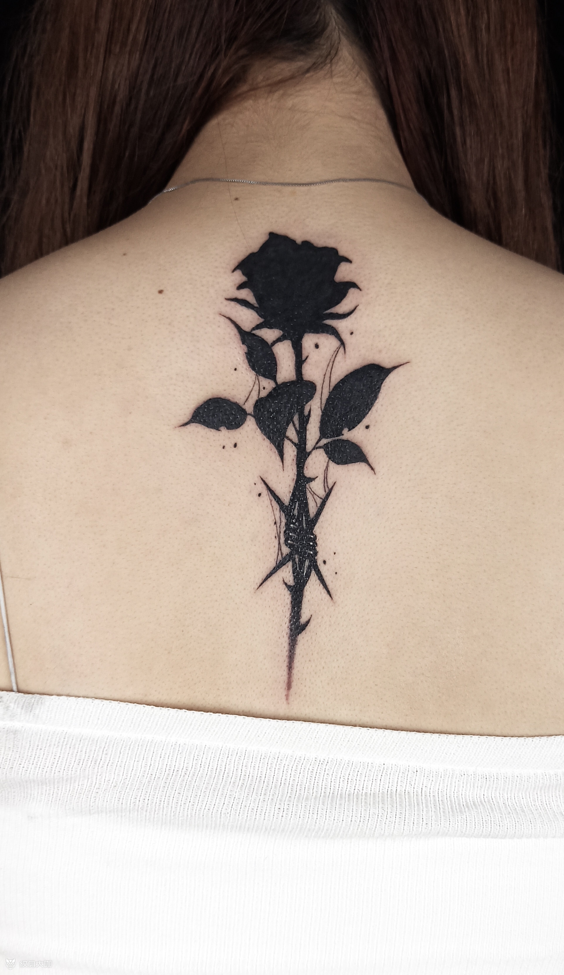 黑色荆棘玫瑰