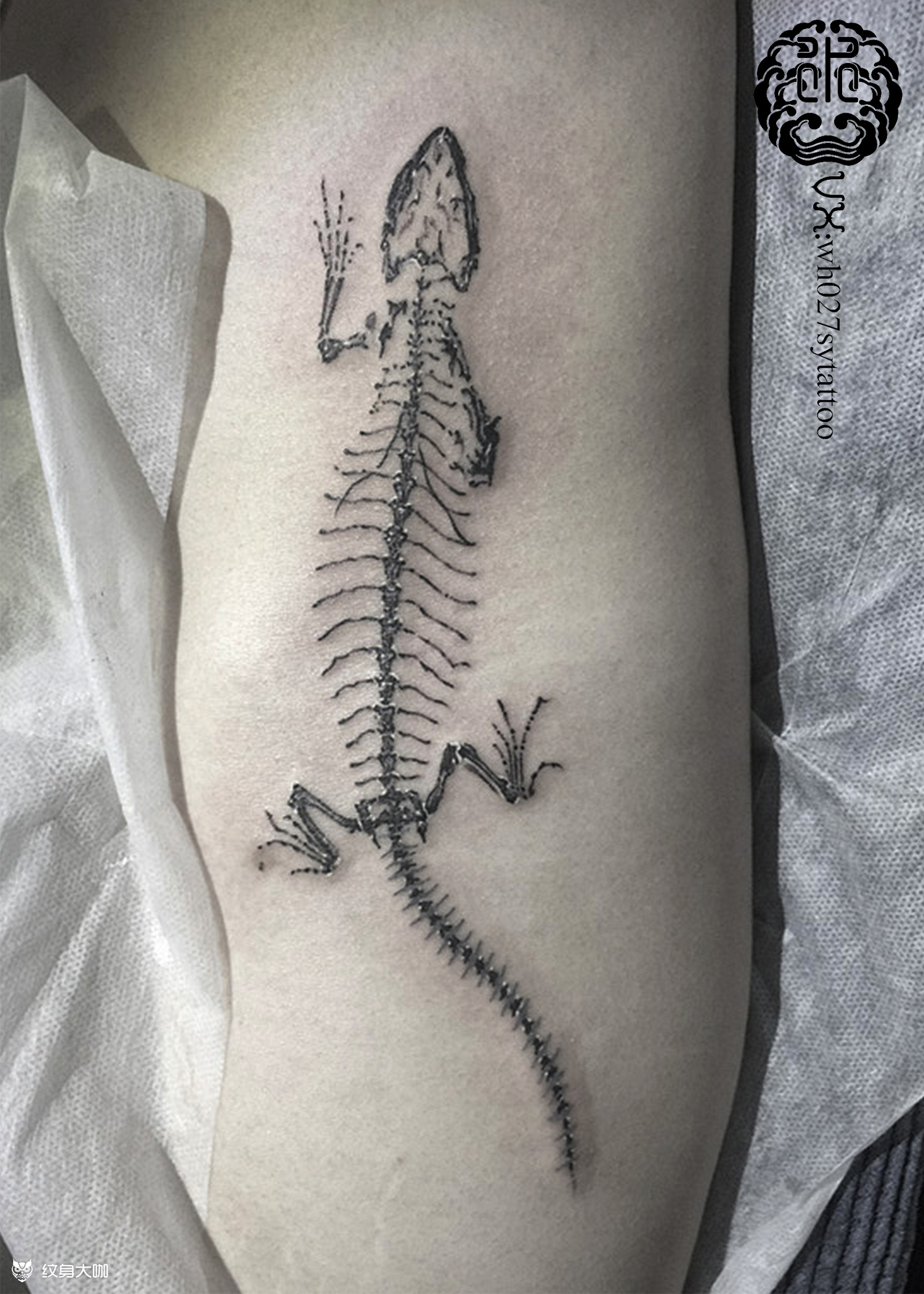 x光下的蜥蜴_纹身图案手稿图片_水异的纹身作品集