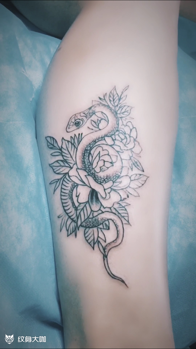 蛇97_纹身图案手稿图片_wj的纹身作品集