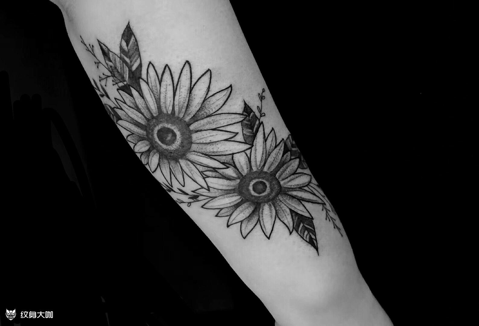 素花 向日葵_纹身图案手稿图片_洛洛的纹身作品集